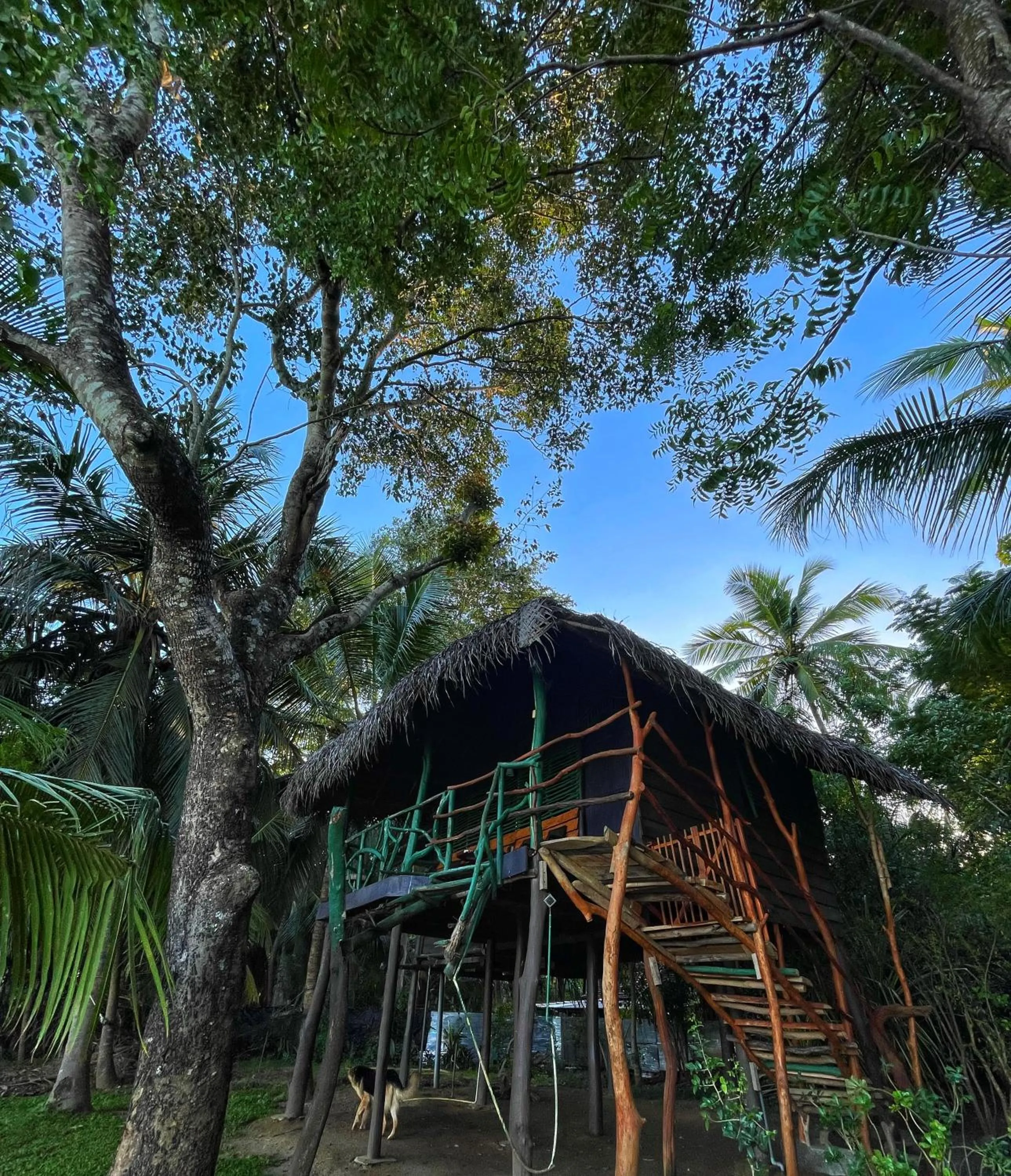 Property building in LakeSide Cabana Tissamaharama