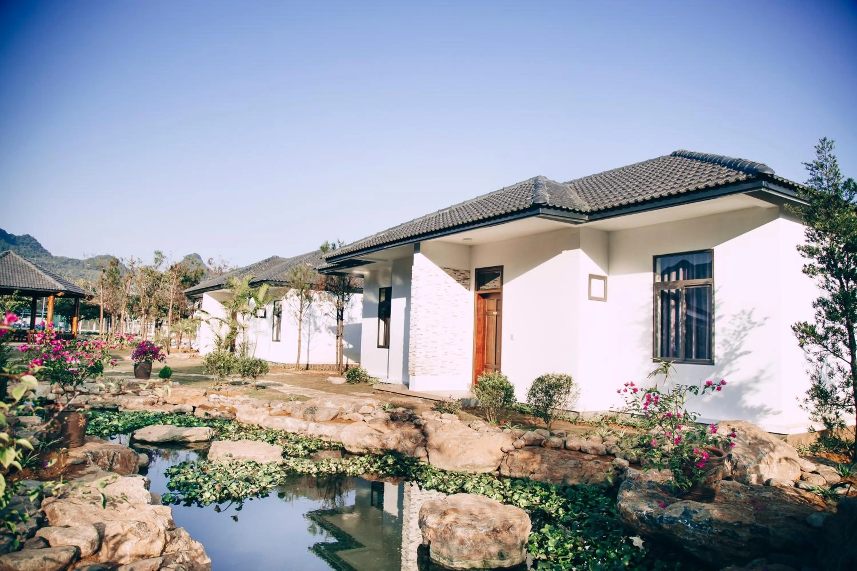 Natural landscape in Thao Nguyen Hotel & Resort Moc Chau