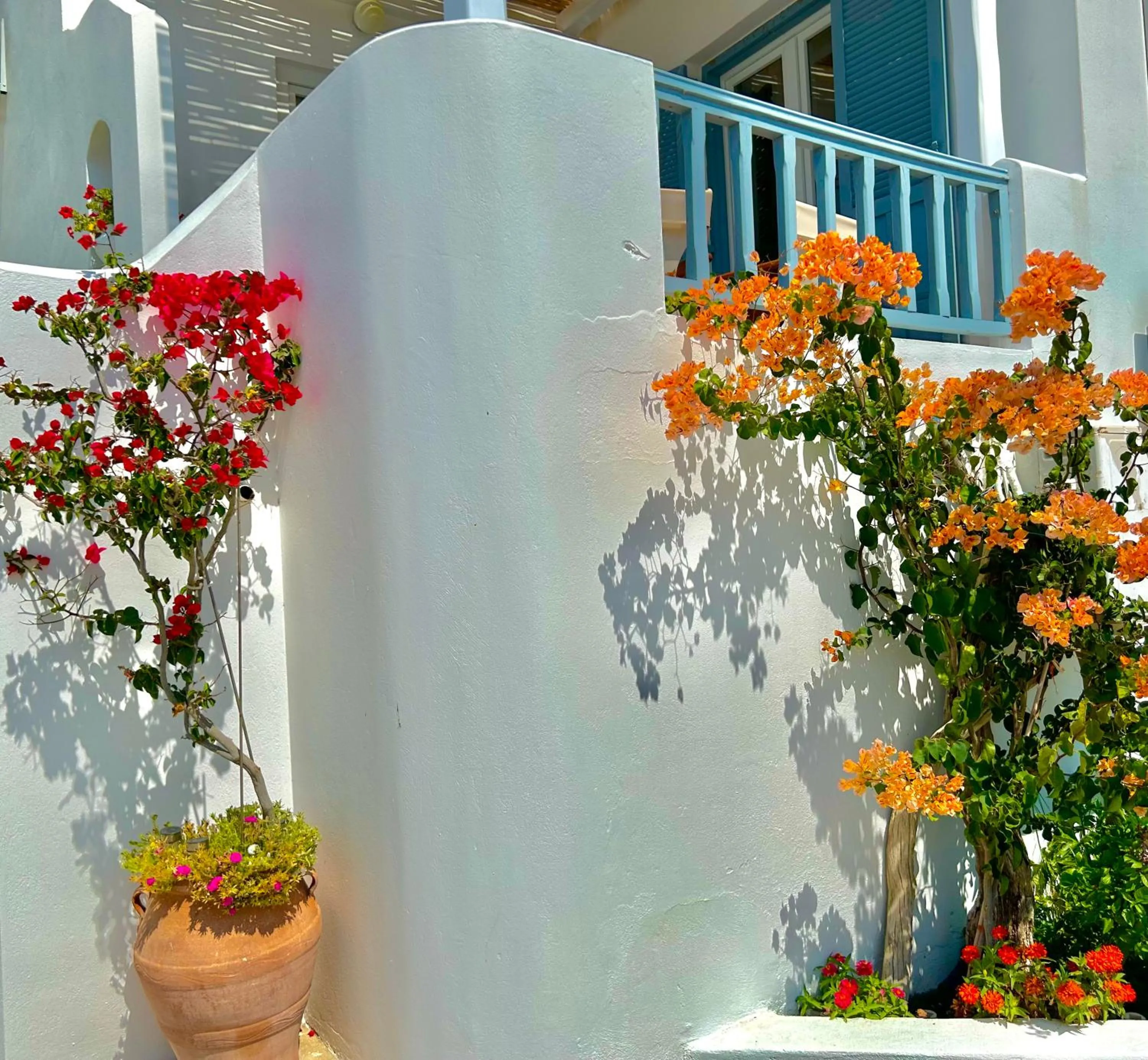 Garden in Anita Rooms & Suites Milos