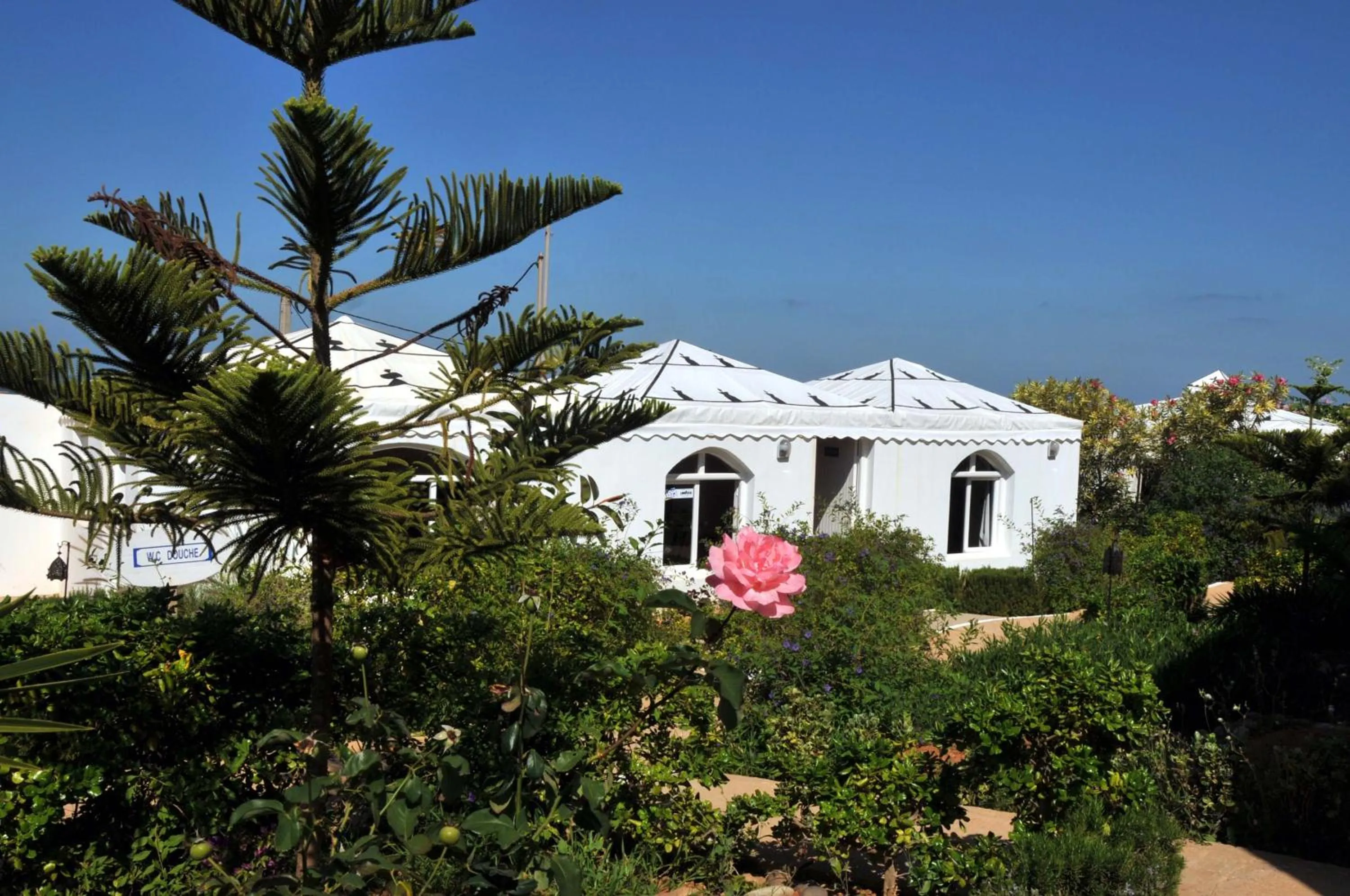 Garden view in Aftas Trip