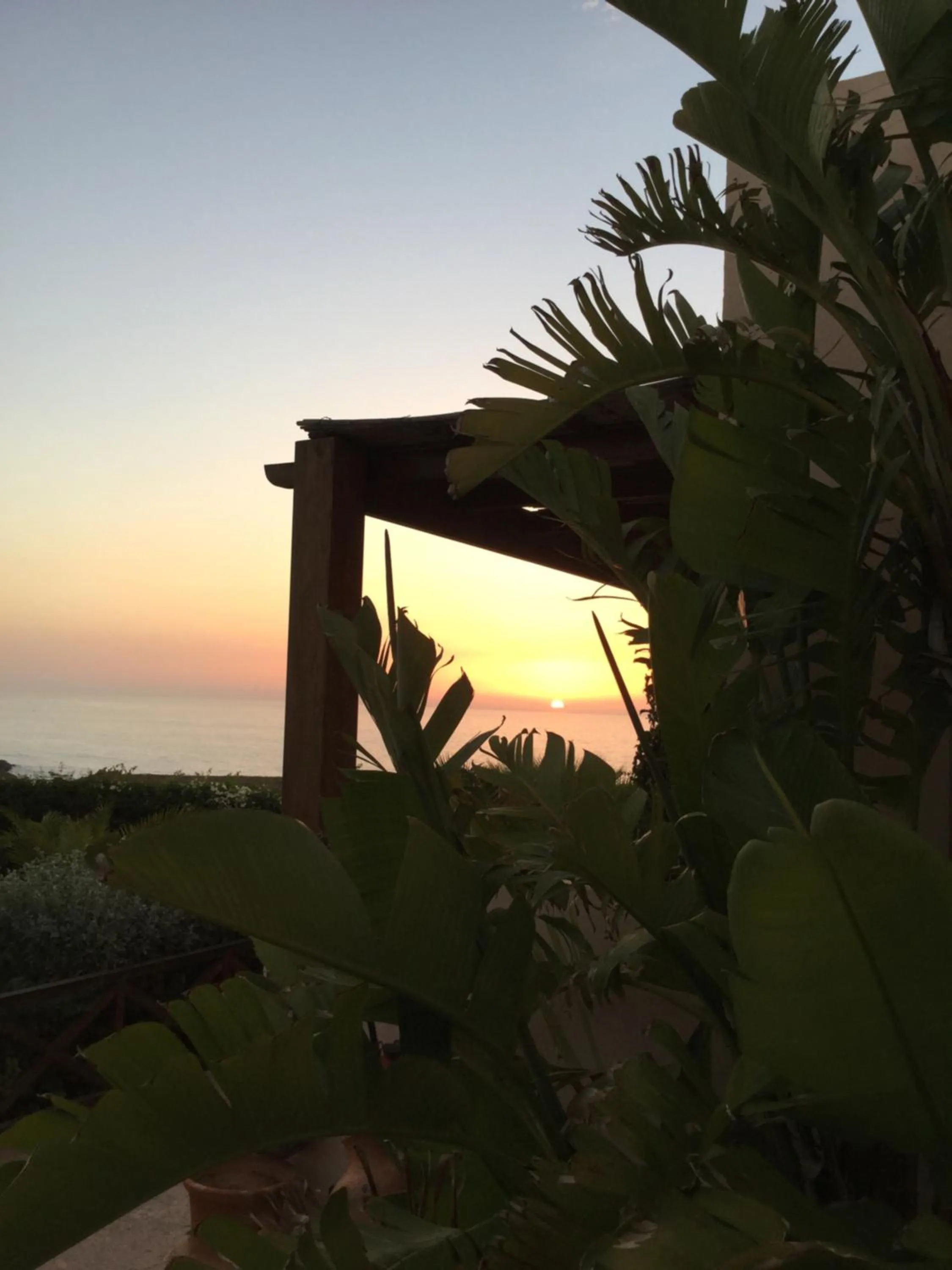 Garden in Aftas Trip