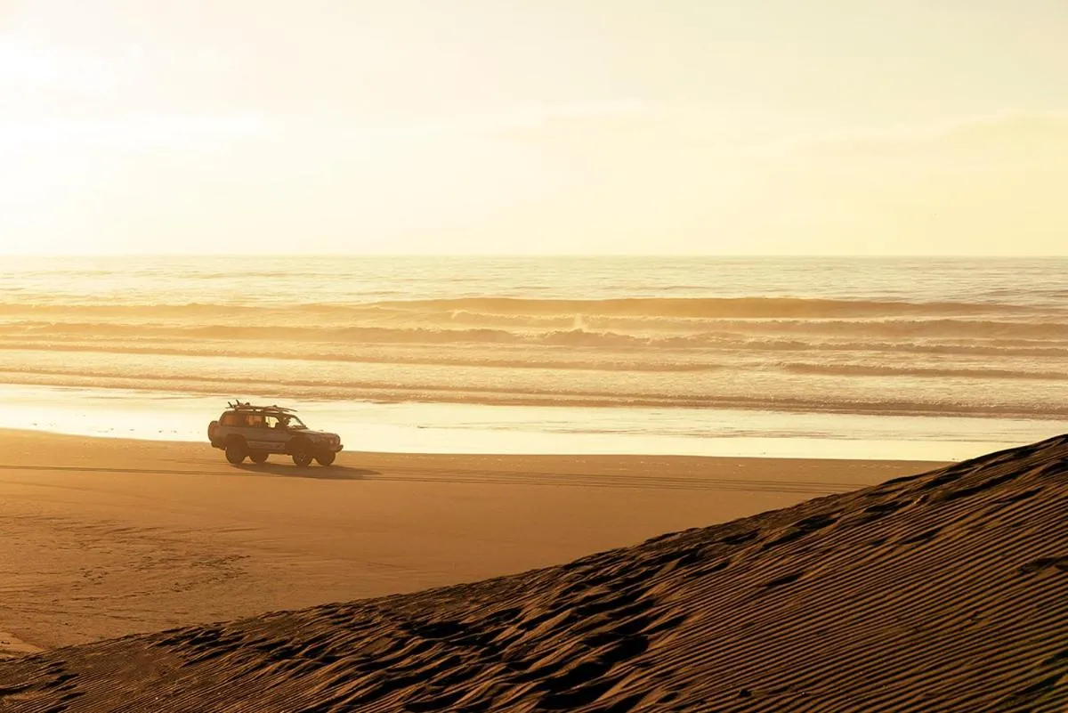 Entertainment in Aftas Trip