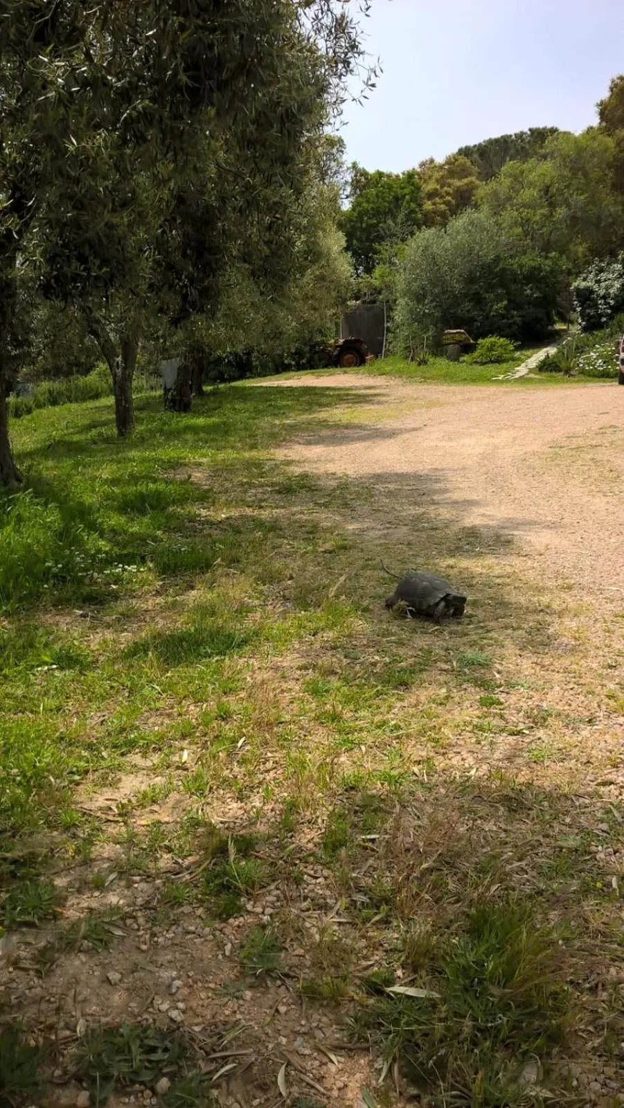 Garden in Agriturismo La Vigna