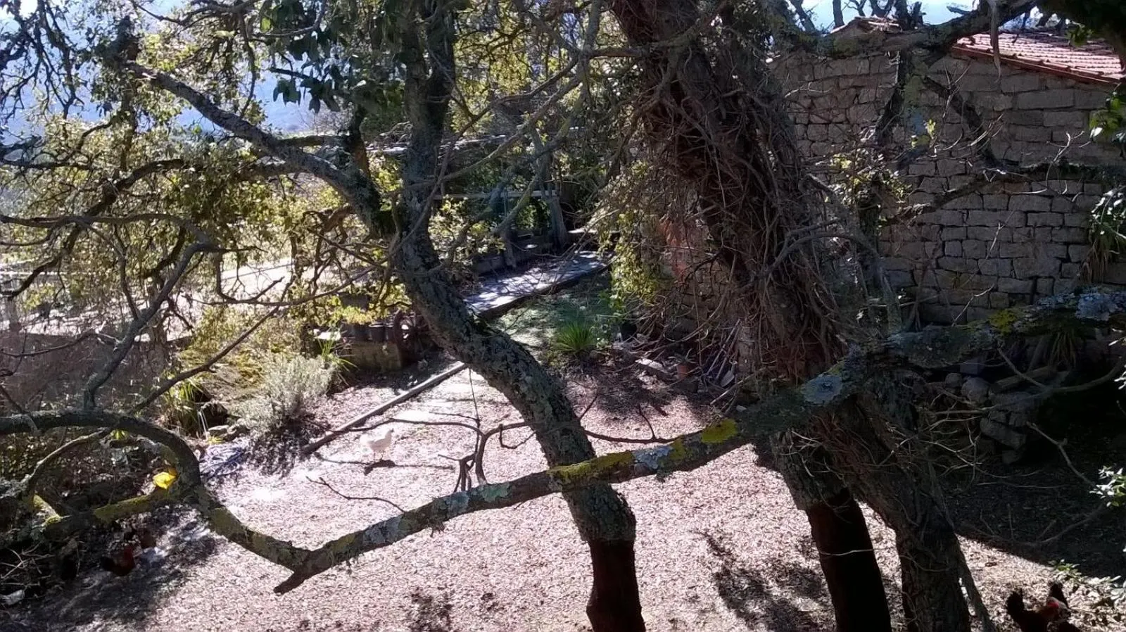 Garden view in Agriturismo La Vigna