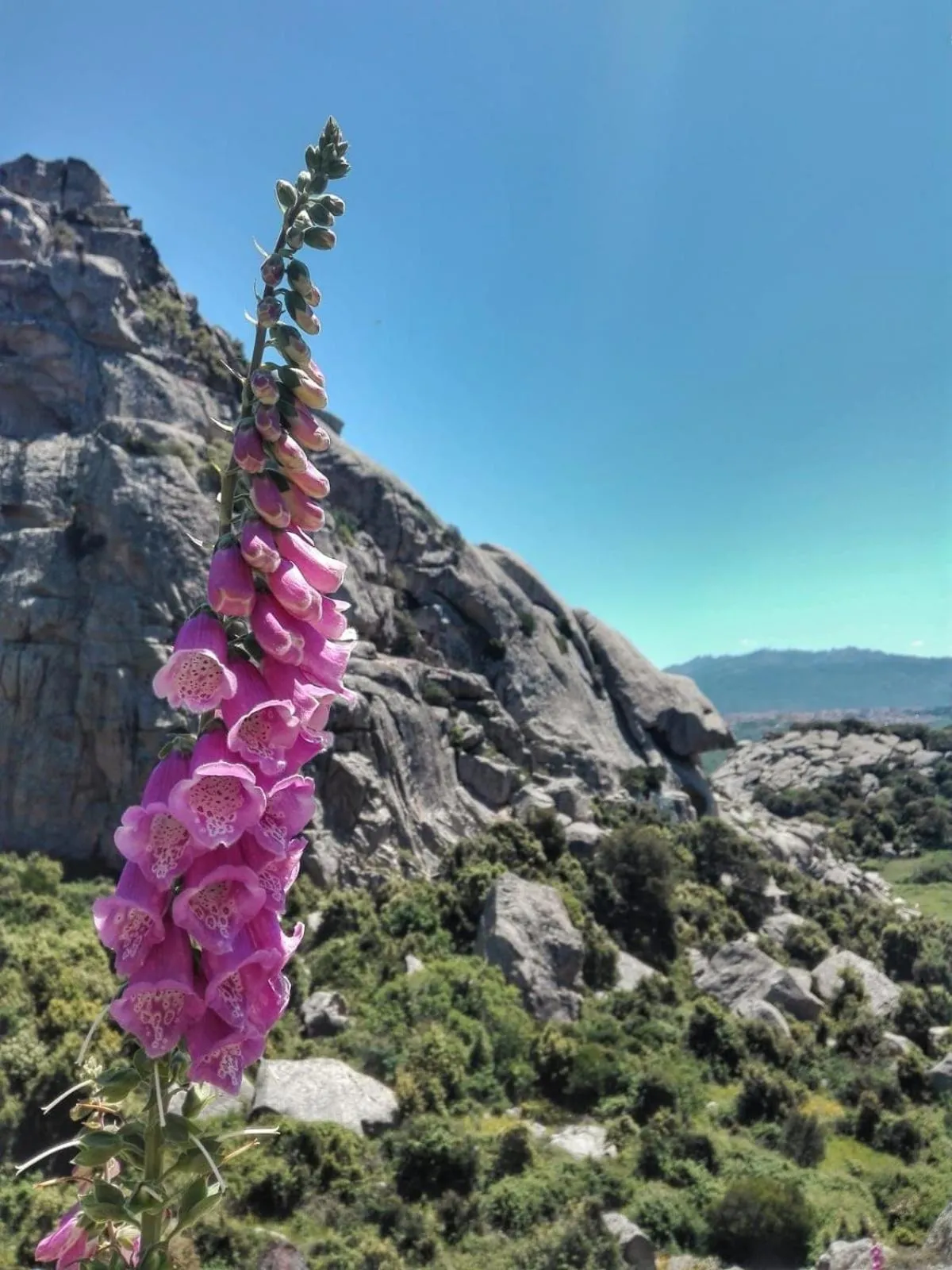 Nearby landmark in Agriturismo La Vigna