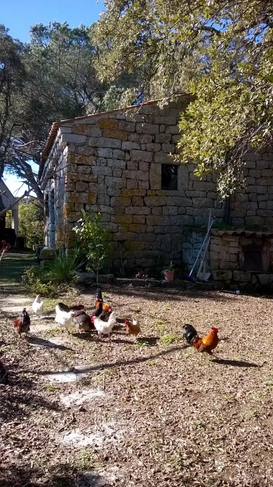 Patio in Agriturismo La Vigna