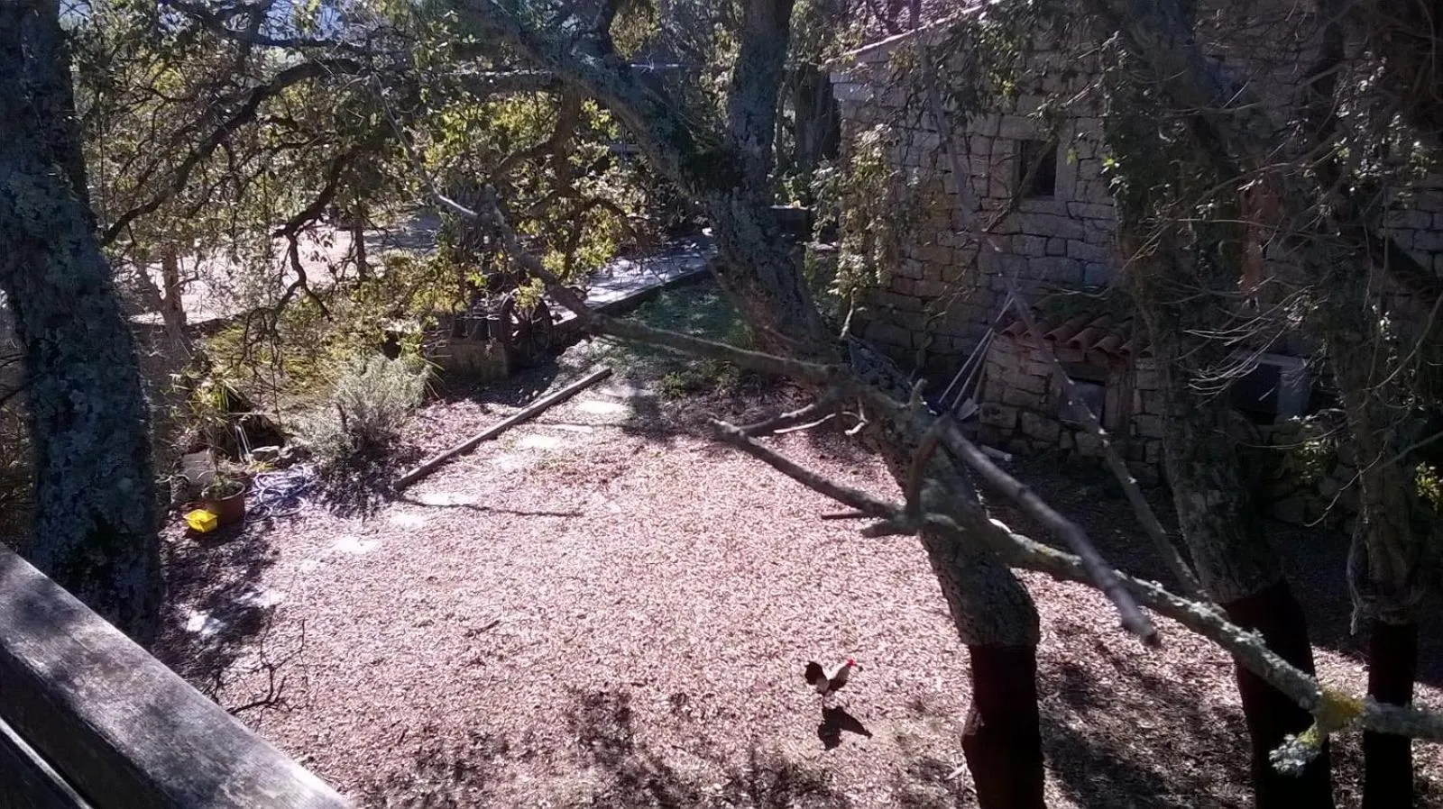 Garden view in Agriturismo La Vigna