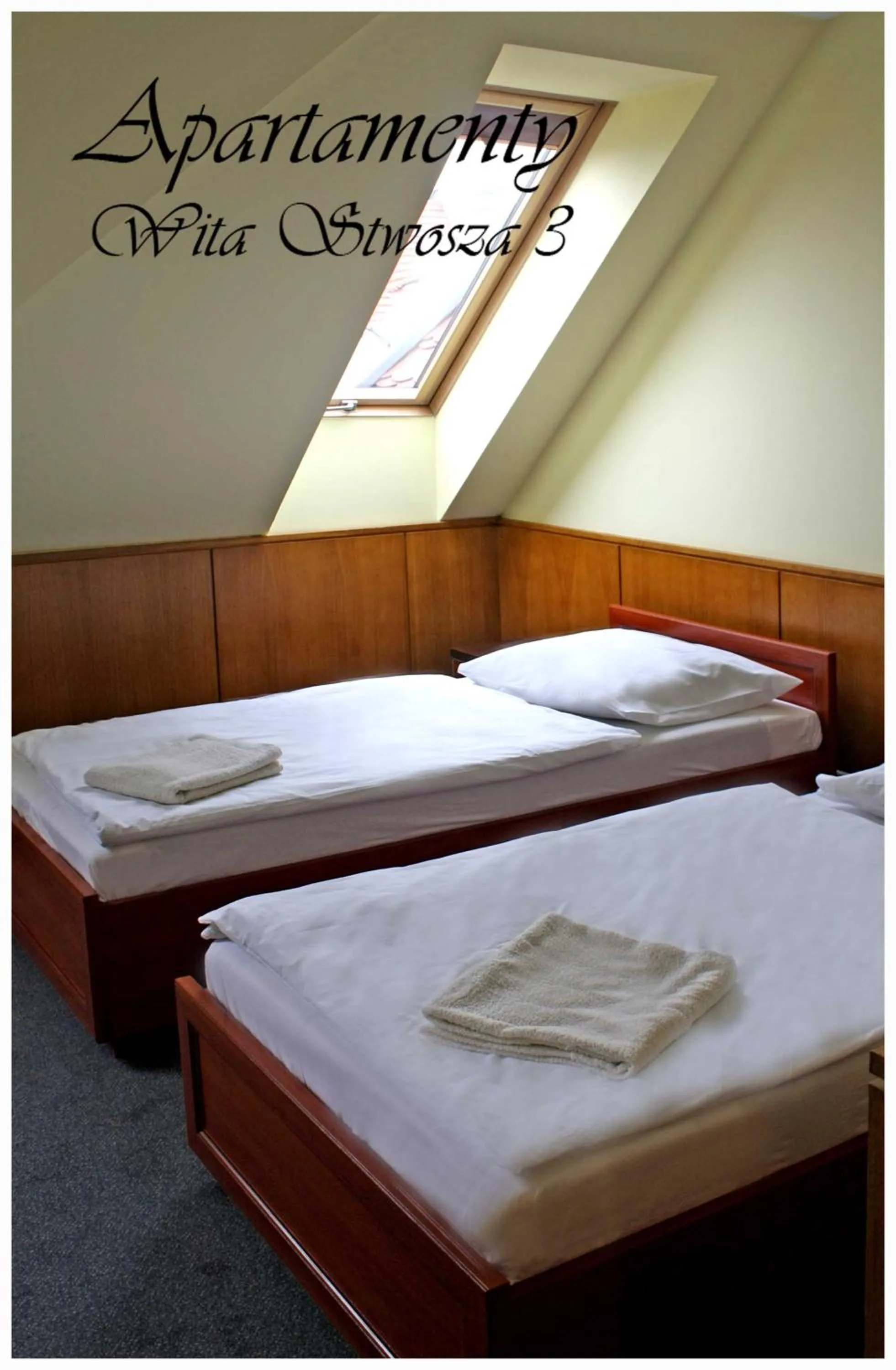 Photo of the whole room, Bed in Hostel 36