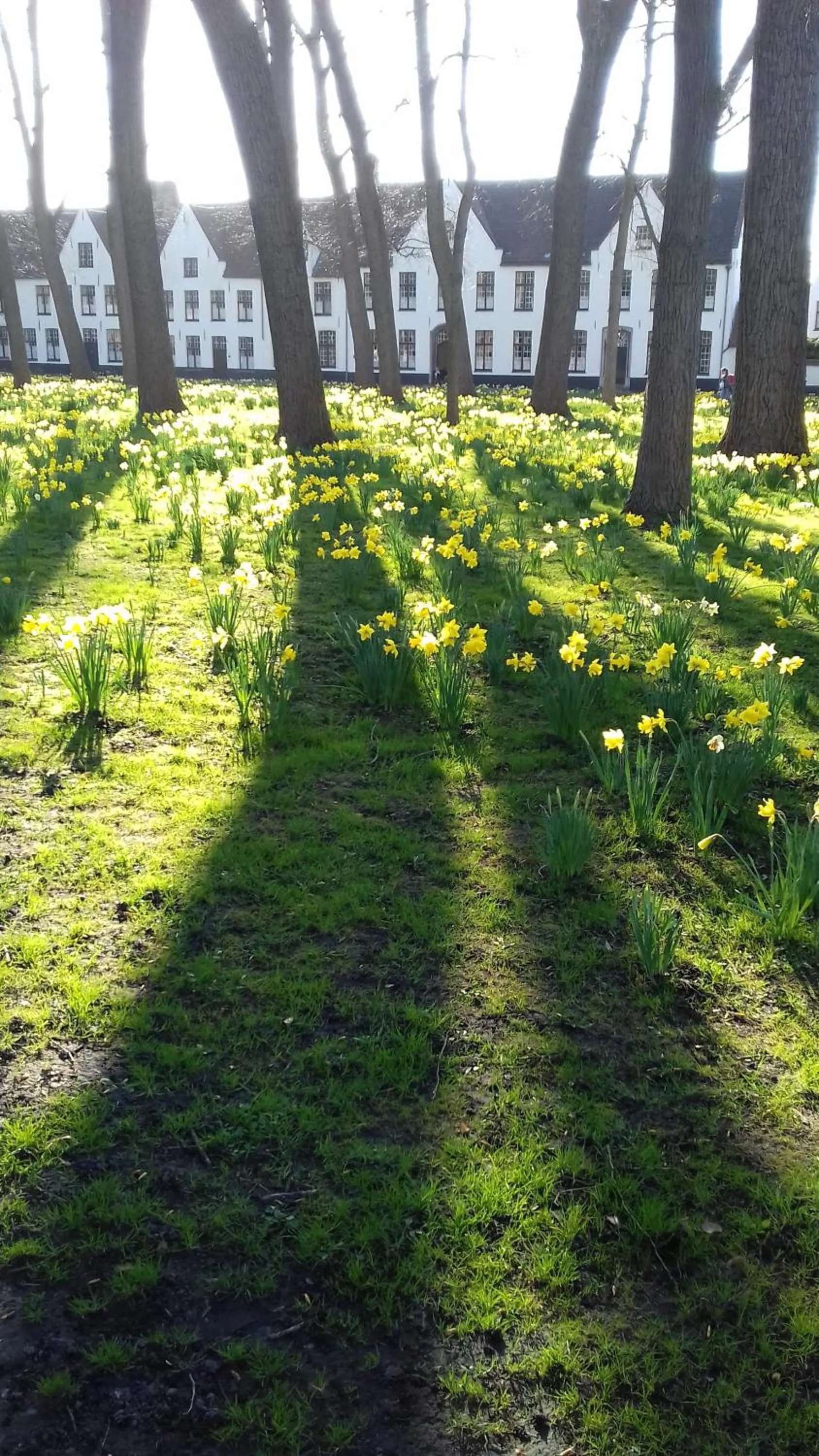 Nearby landmark in Maison Amodio Boutique B&B adults only