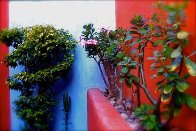 Property building in Villa Carolina Boutique Hotel ADULTS ONLY