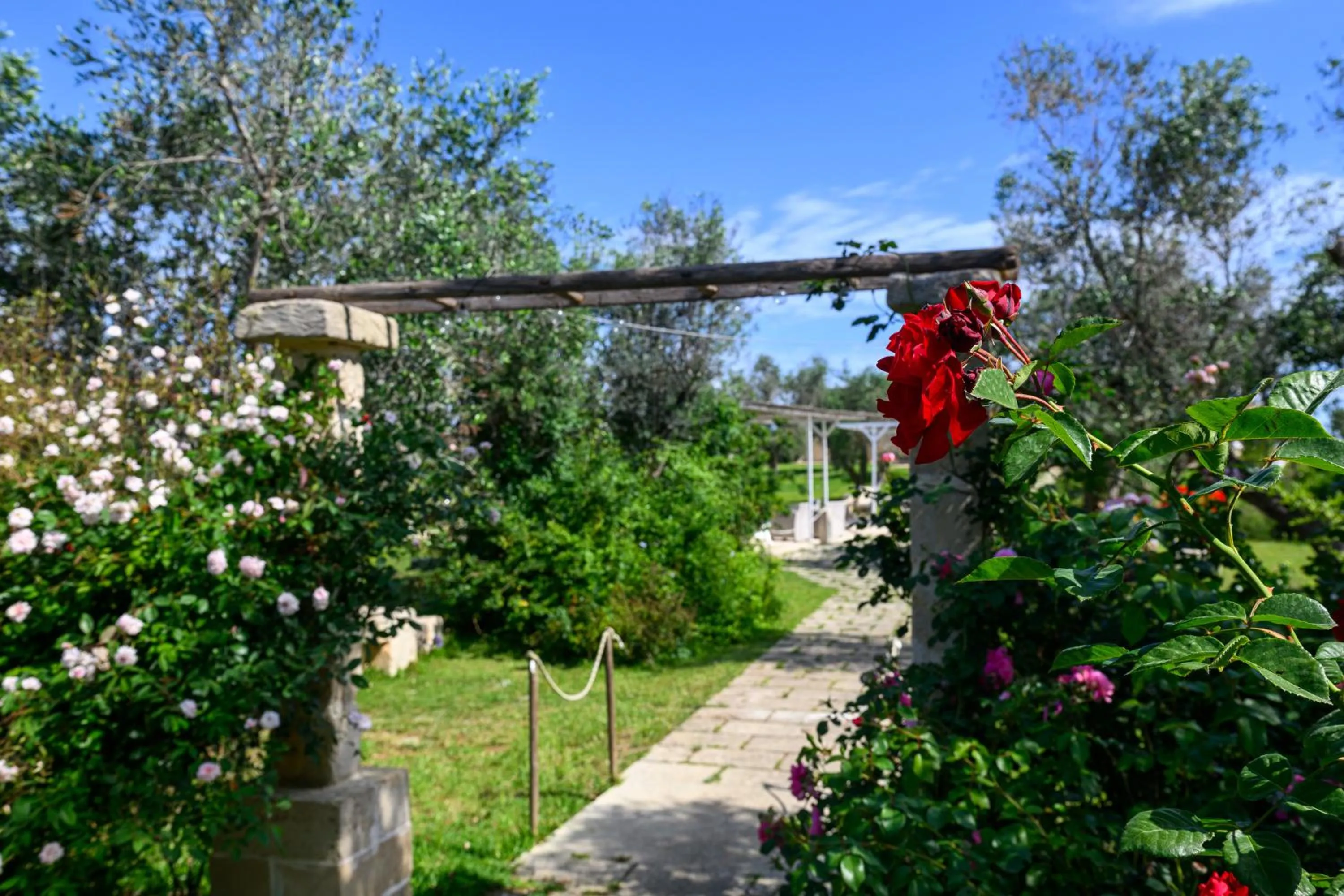 Garden in Agriturismo Tenuta Calitre