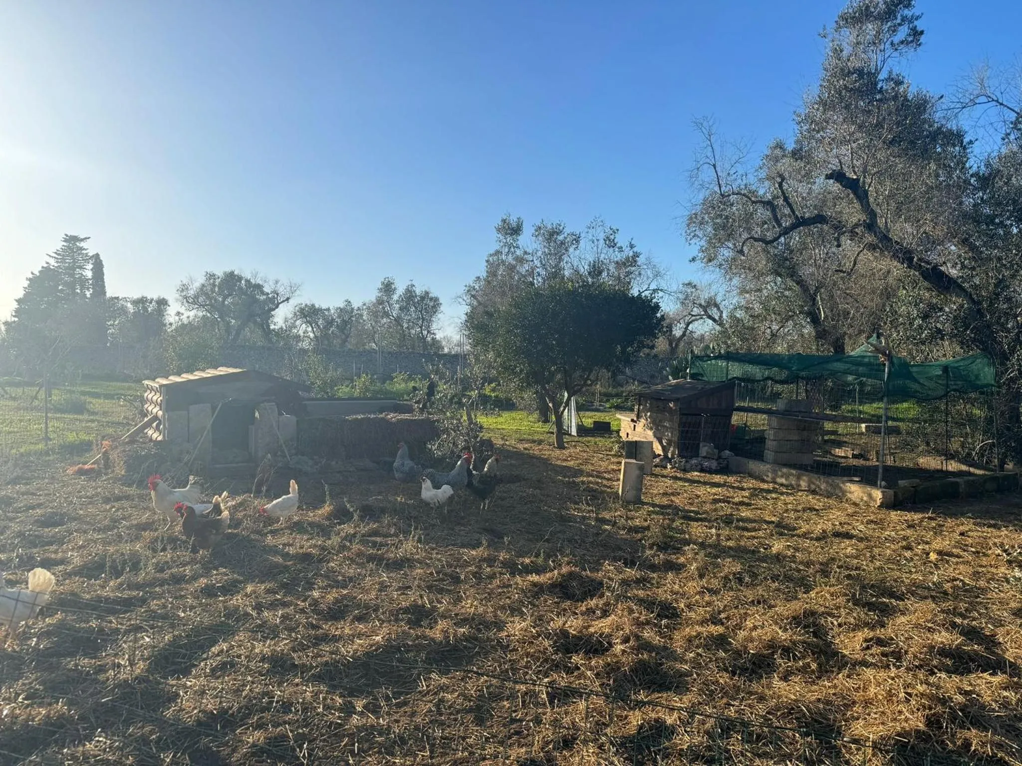 Spring in Agriturismo Tenuta Calitre