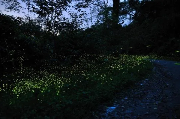 Off site in Upon The Hill