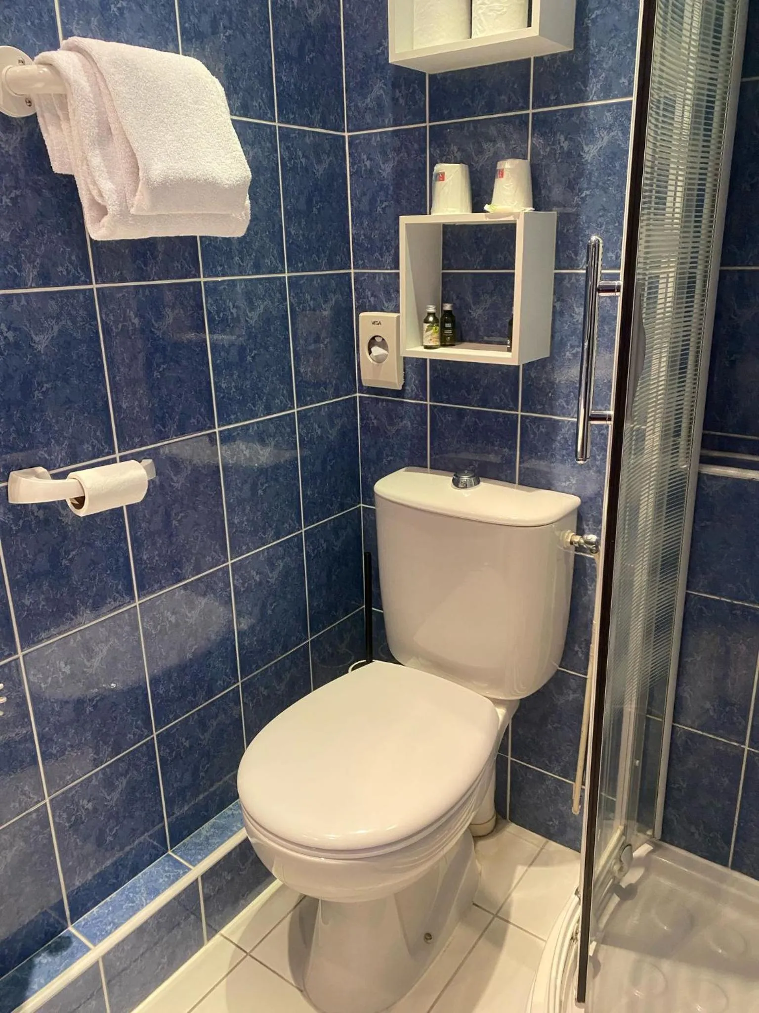 Toilet in Logis Hôtel Restaurant LE MONARQUE