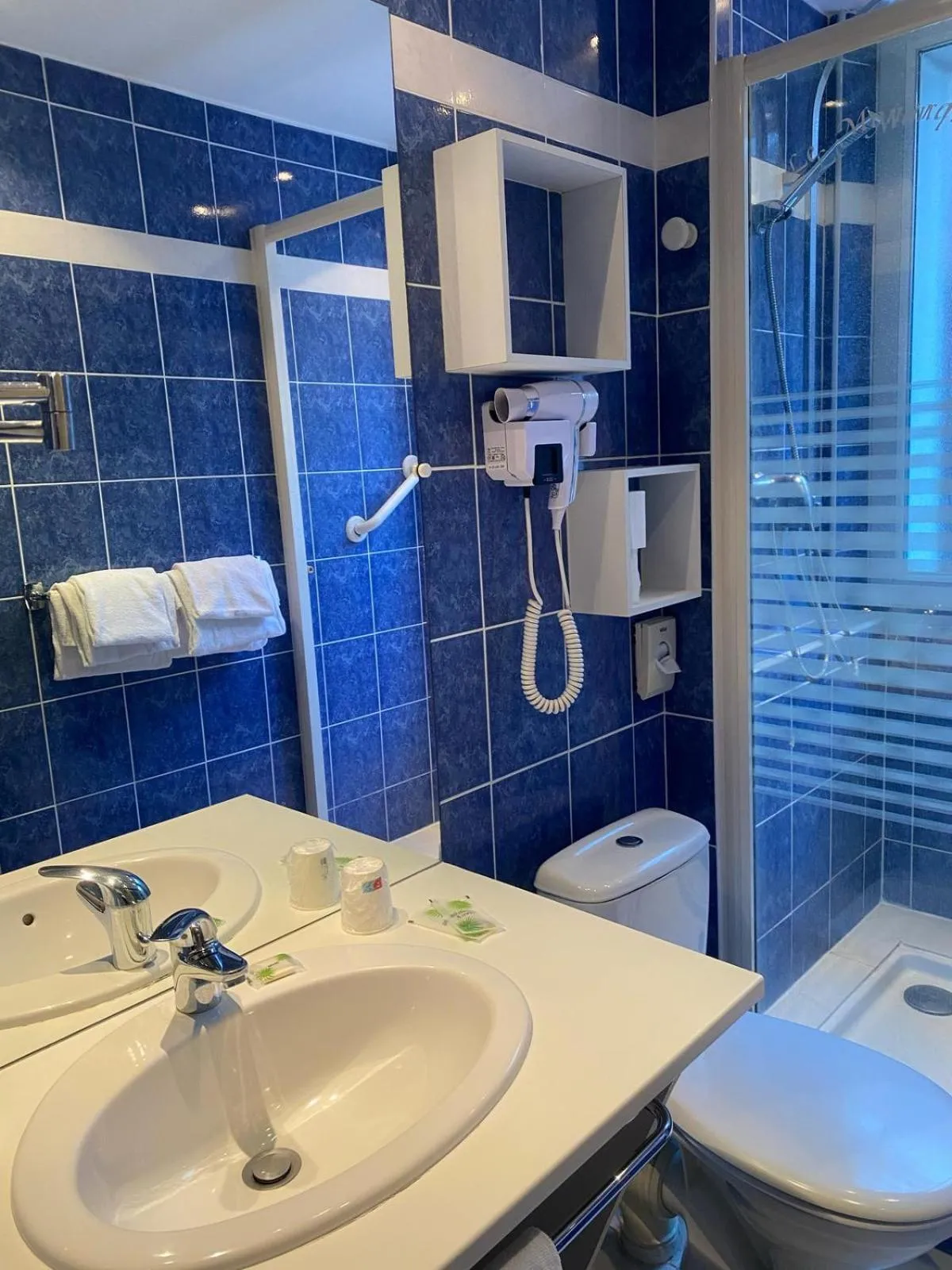 Toilet in Logis Hôtel Restaurant LE MONARQUE