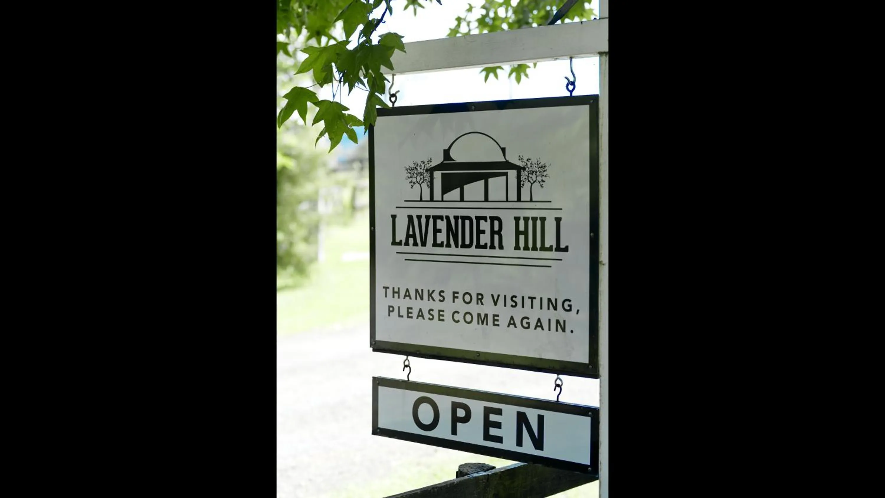 Street view in Lavender Hill