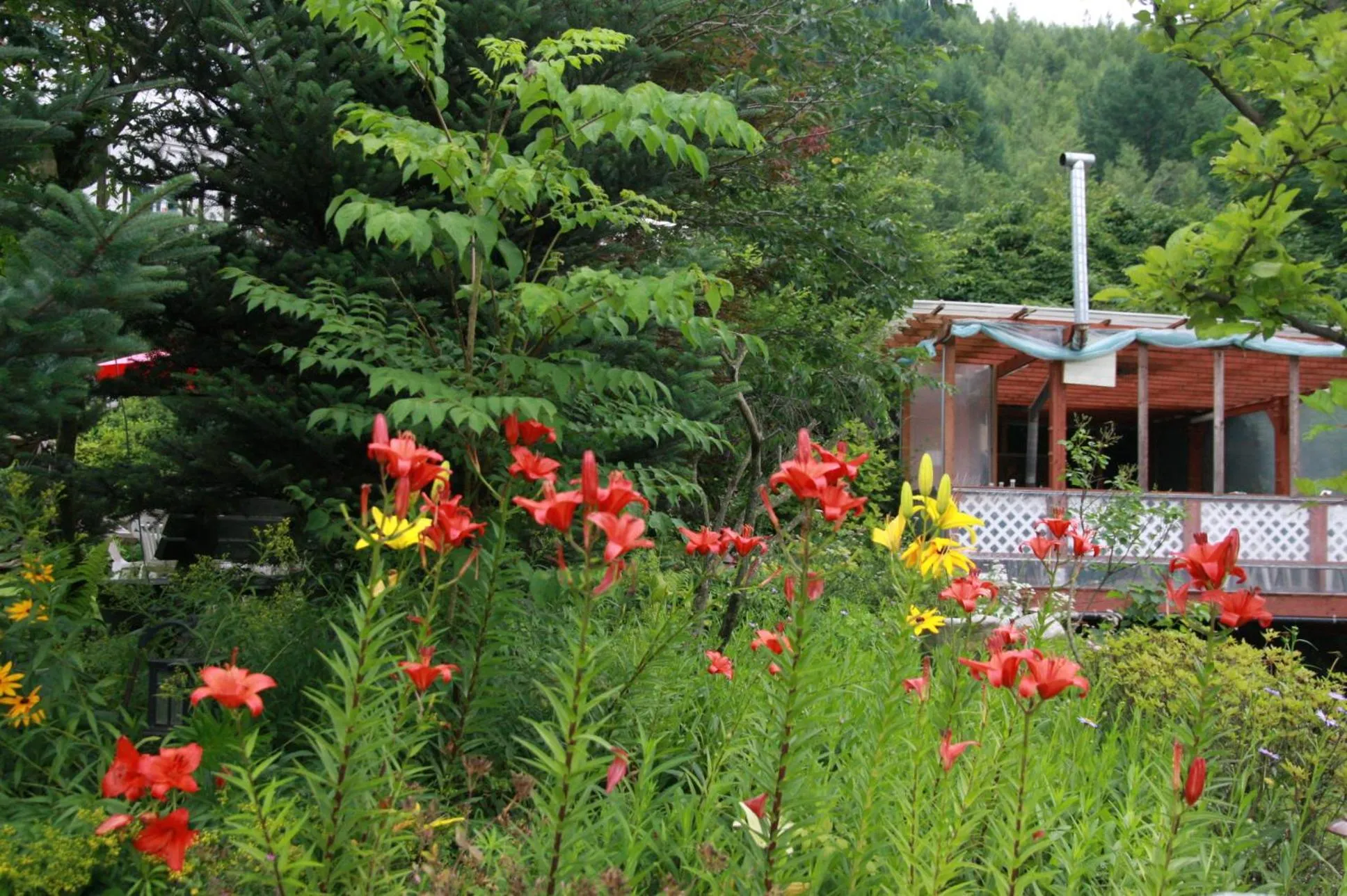 Natural landscape in Starvill Pension