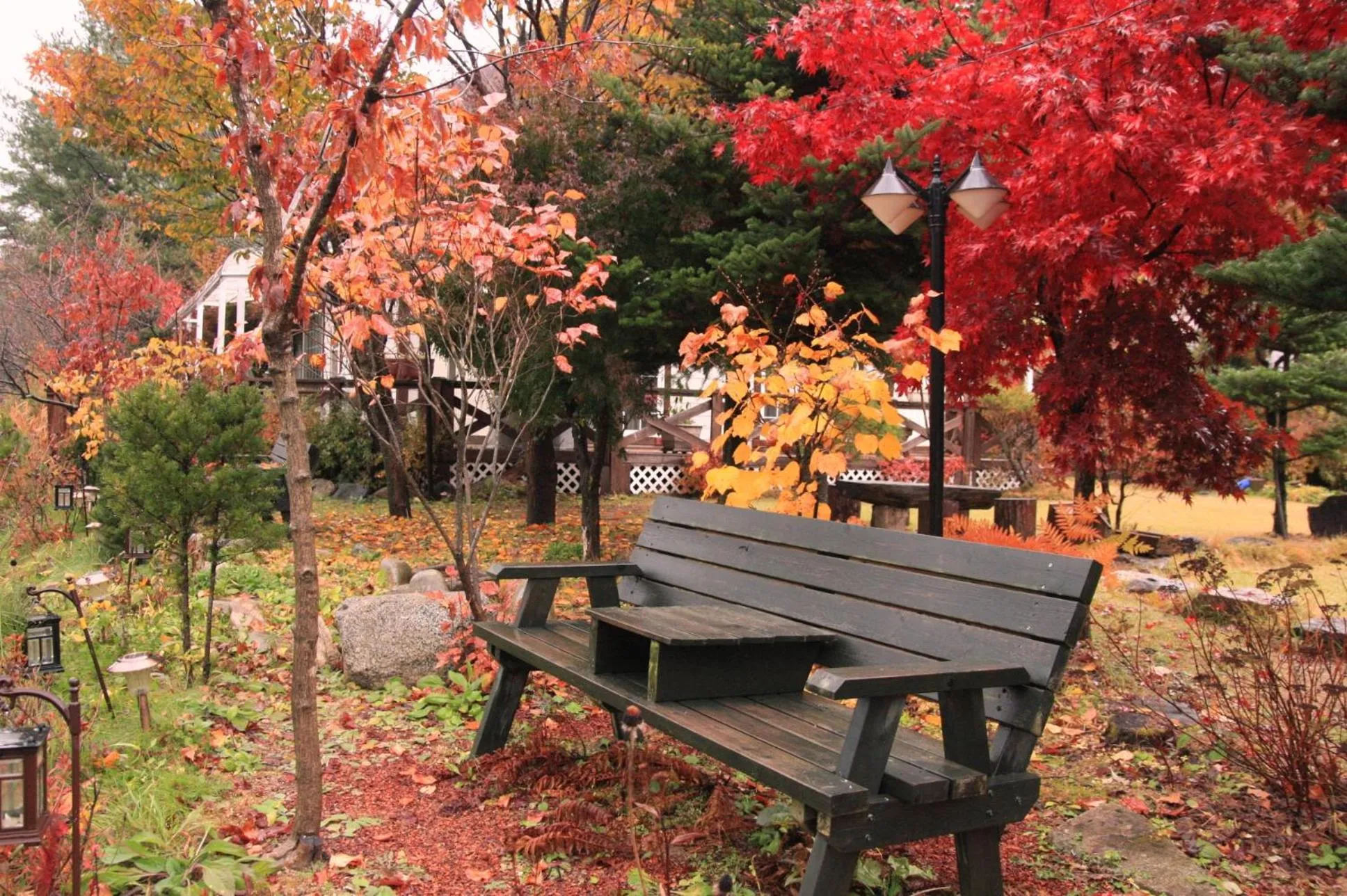 Garden in Starvill Pension