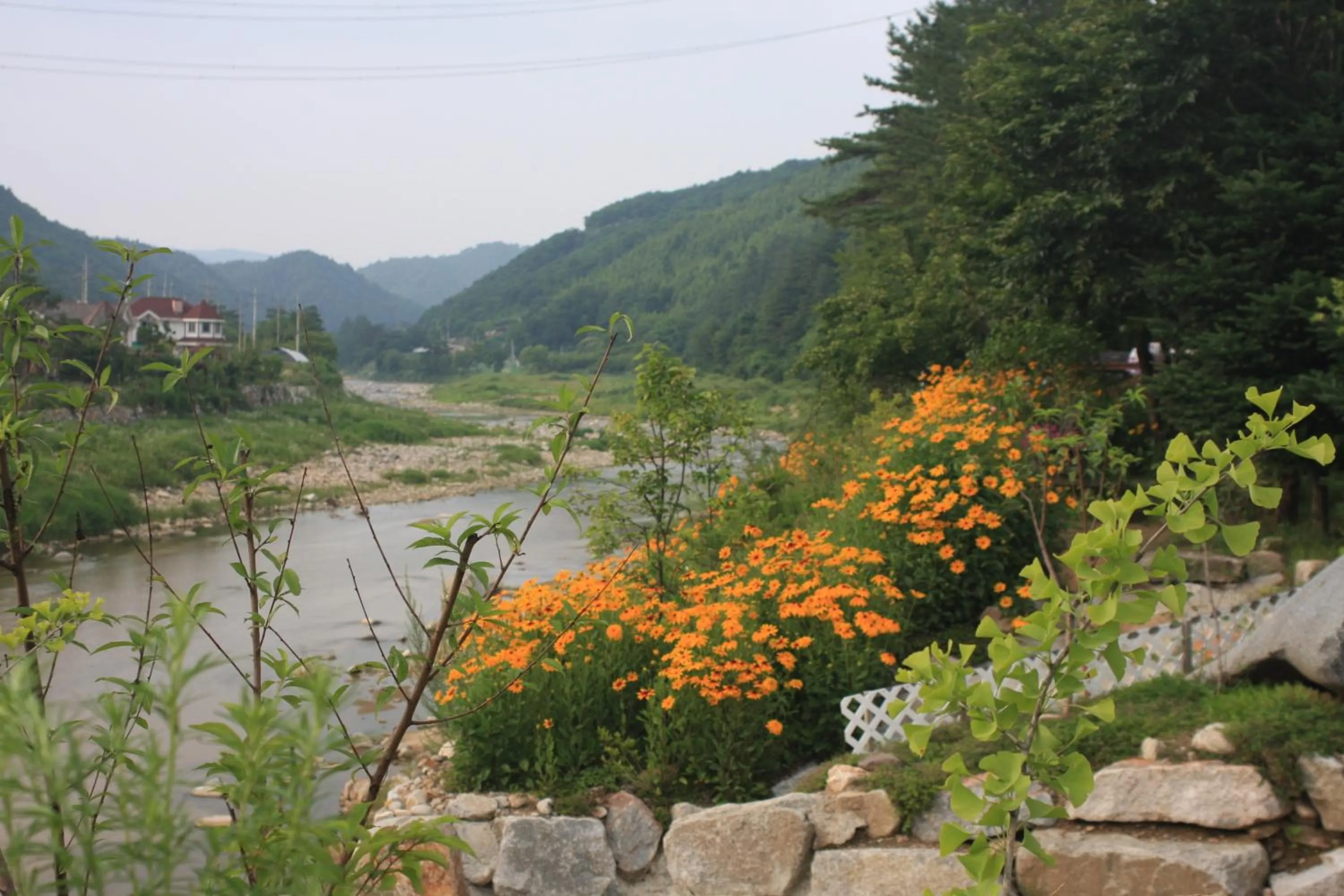 Natural landscape in Starvill Pension