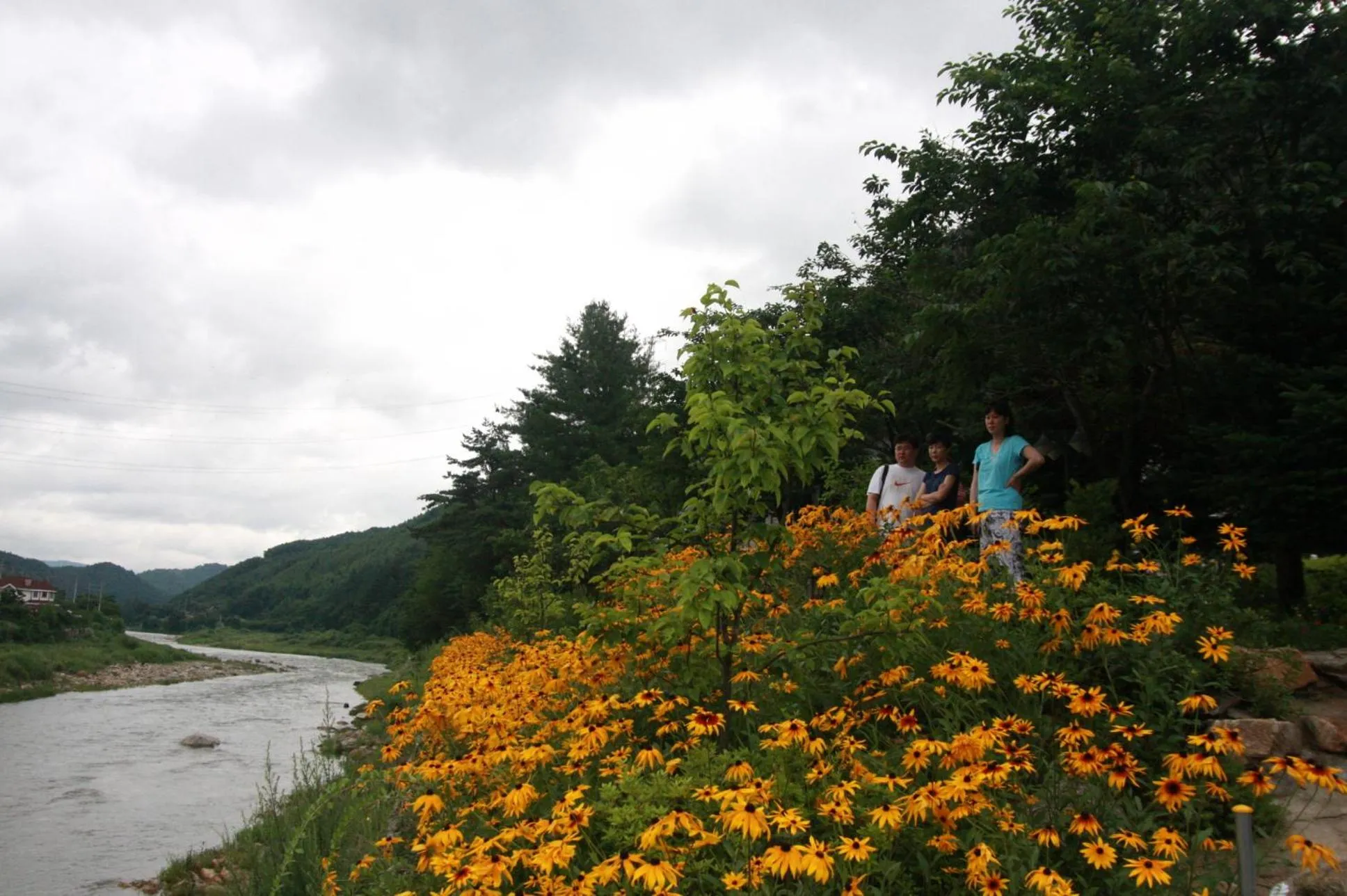 Summer in Starvill Pension