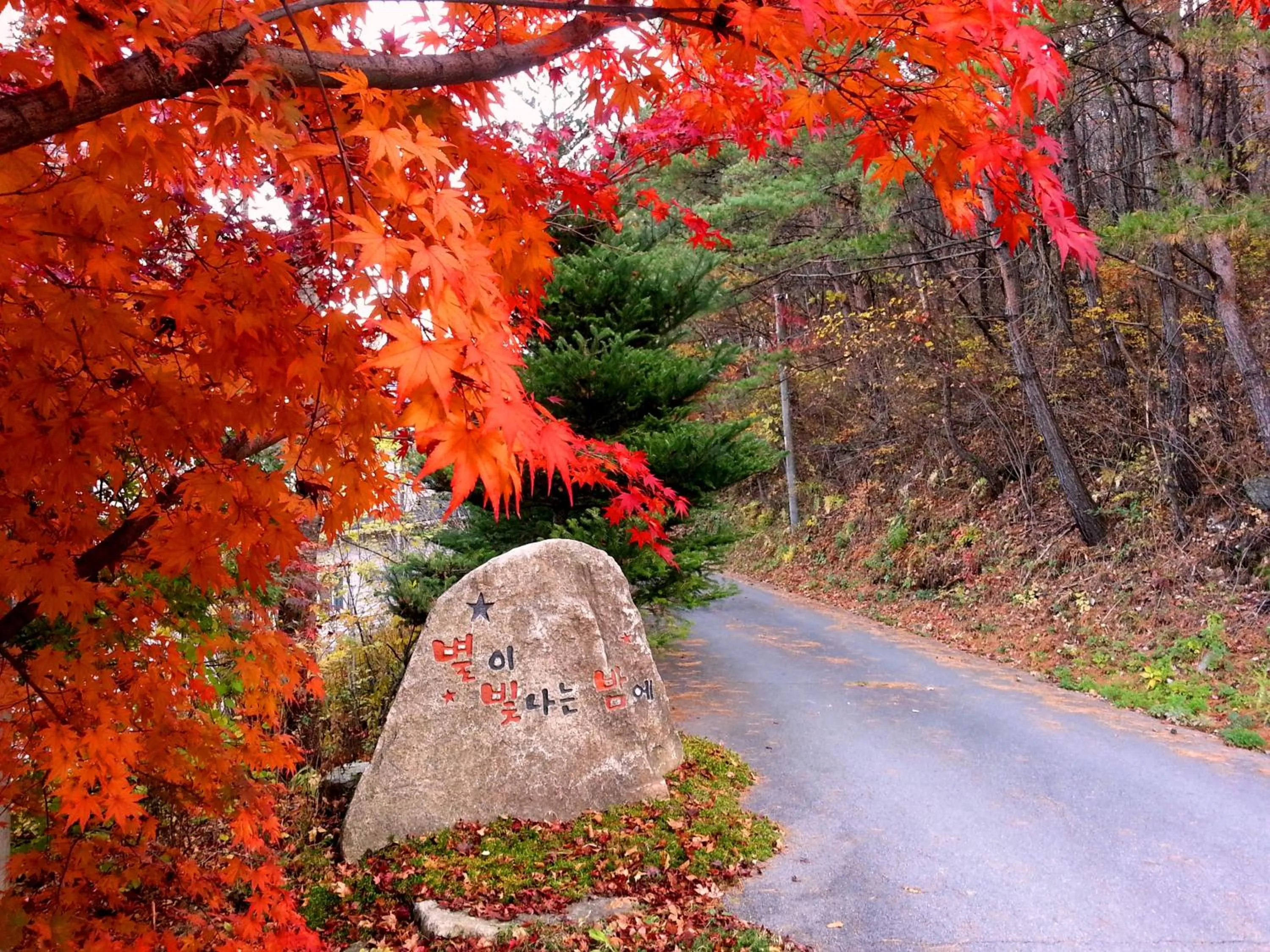 Neighbourhood in Starvill Pension