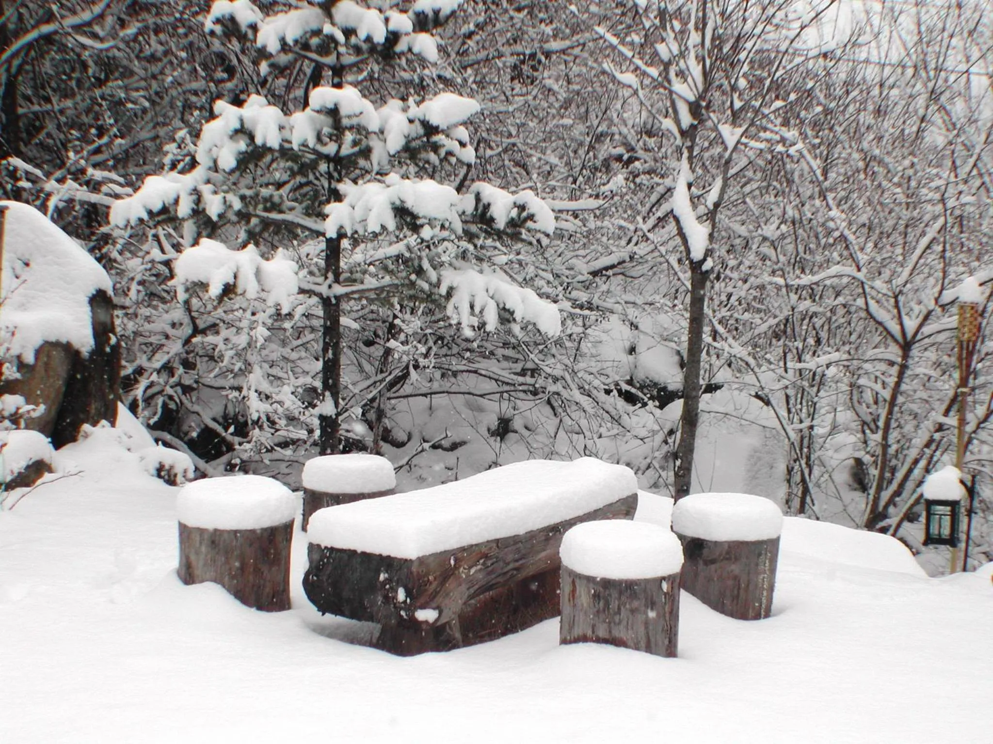 Neighbourhood in Starvill Pension