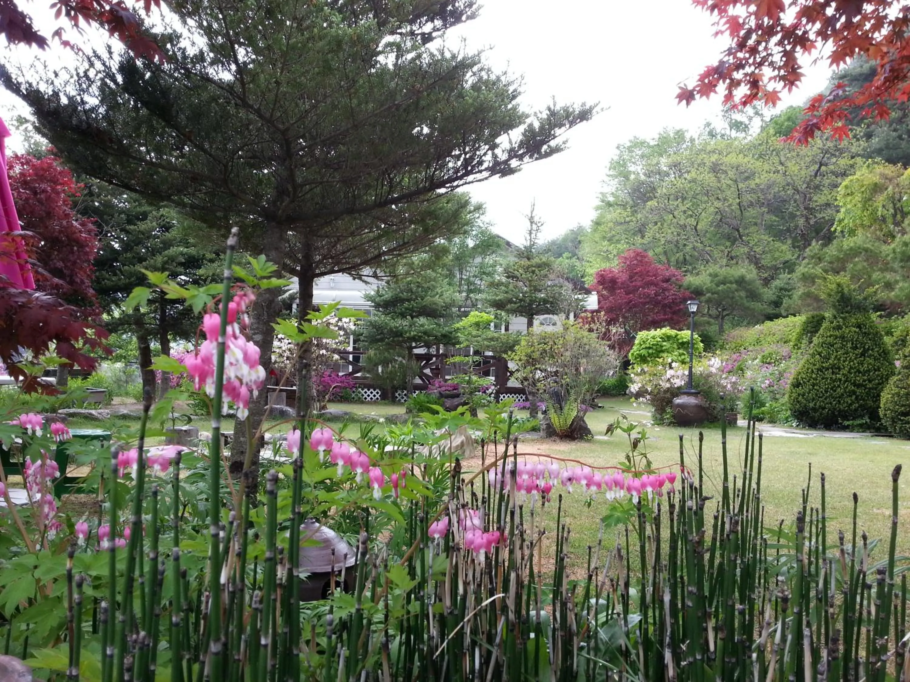 Spring in Starvill Pension