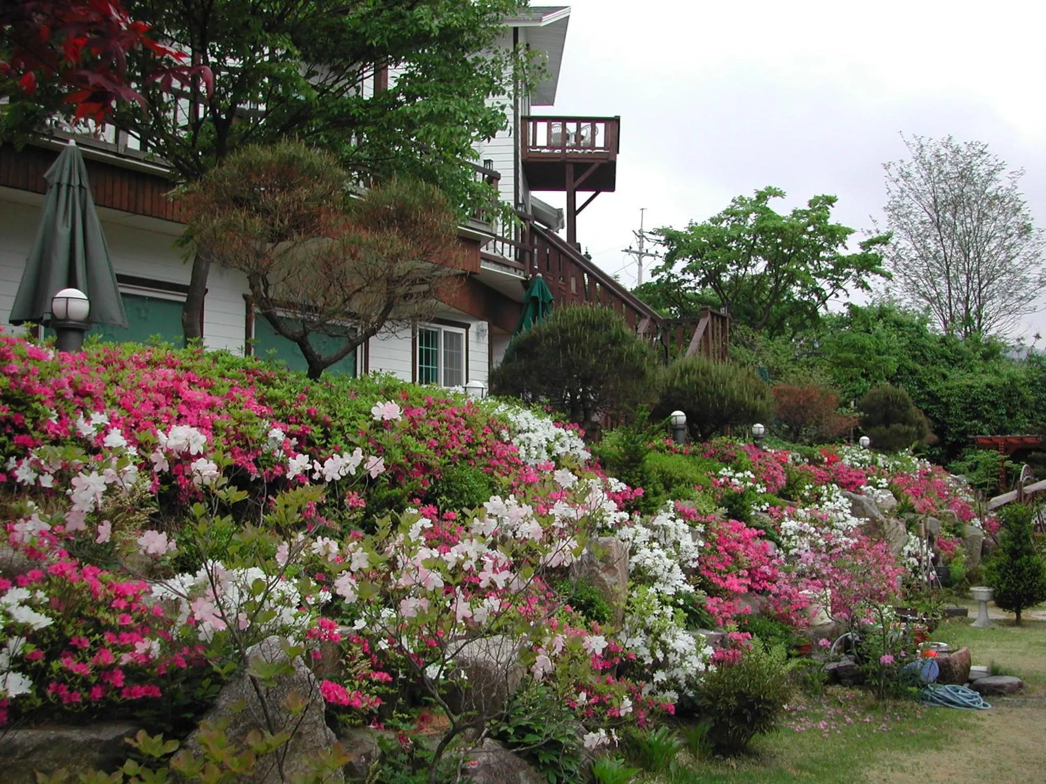 Spring in Starvill Pension