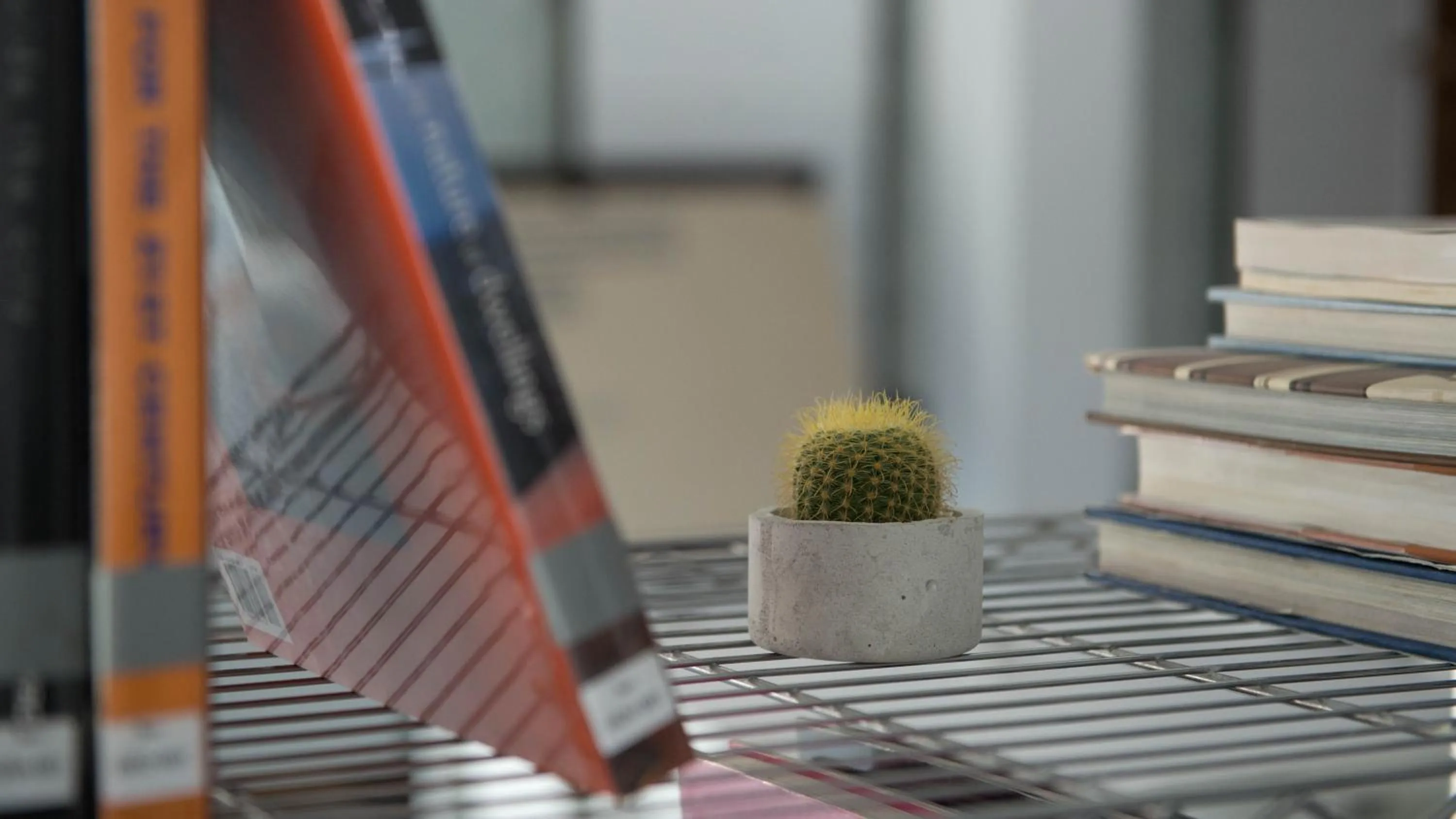 Library in Veethara Boutique Hotel