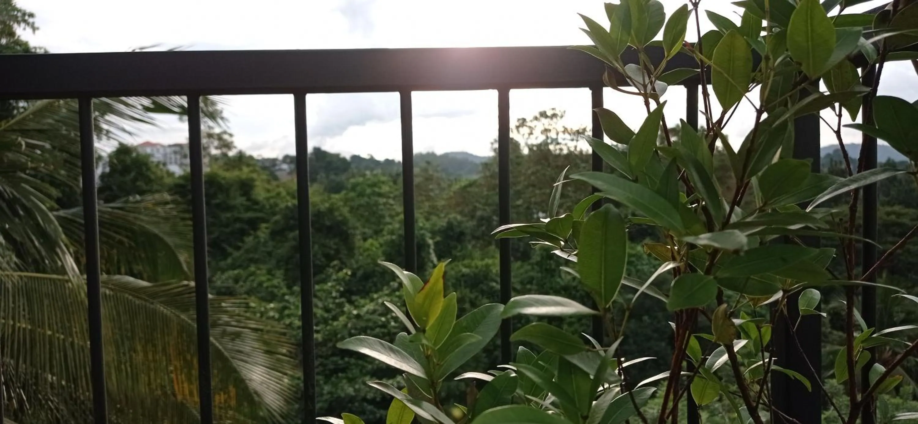 Villa Forest View - No: 50/17