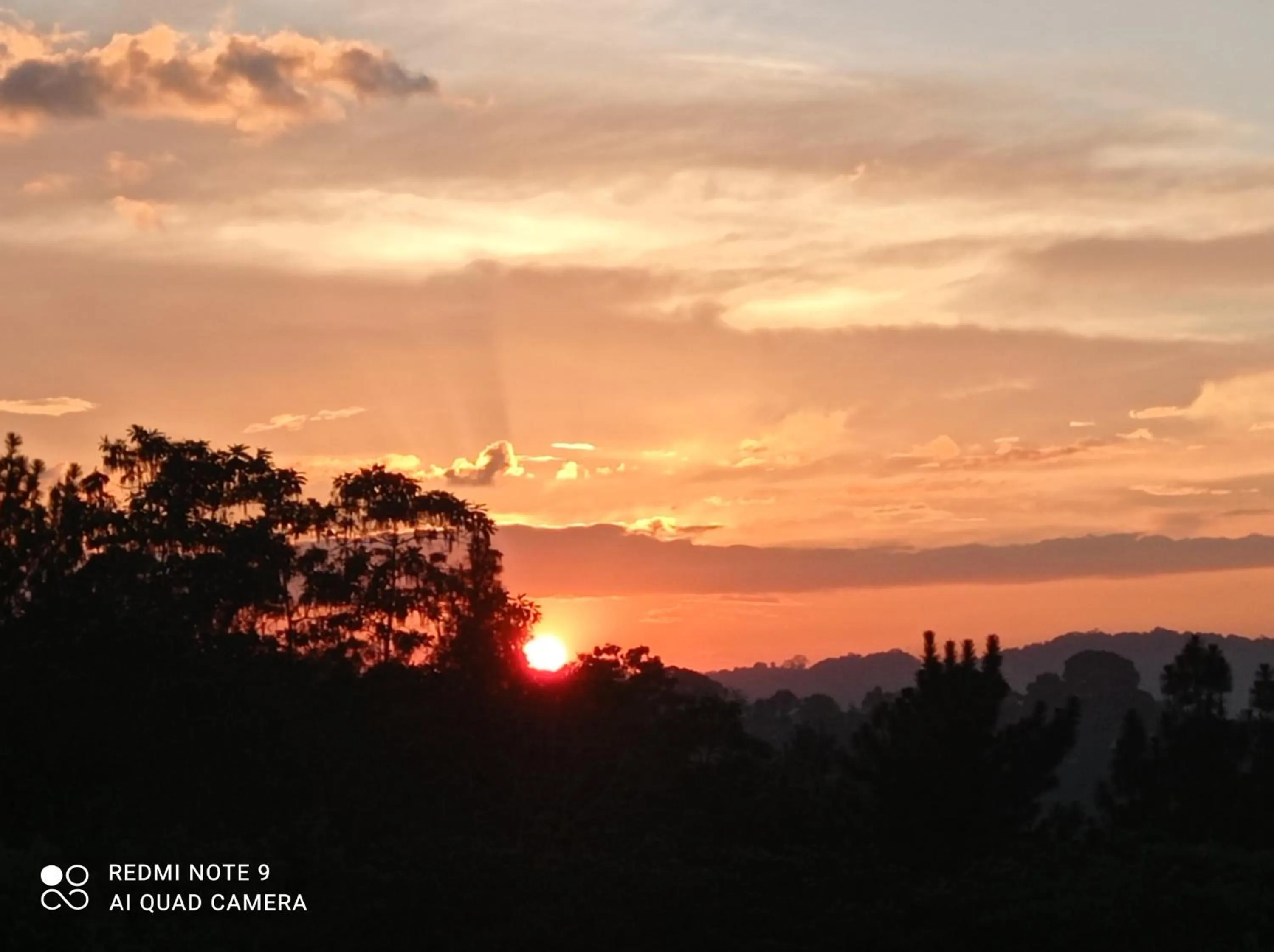 Villa Forest View - No: 50/17