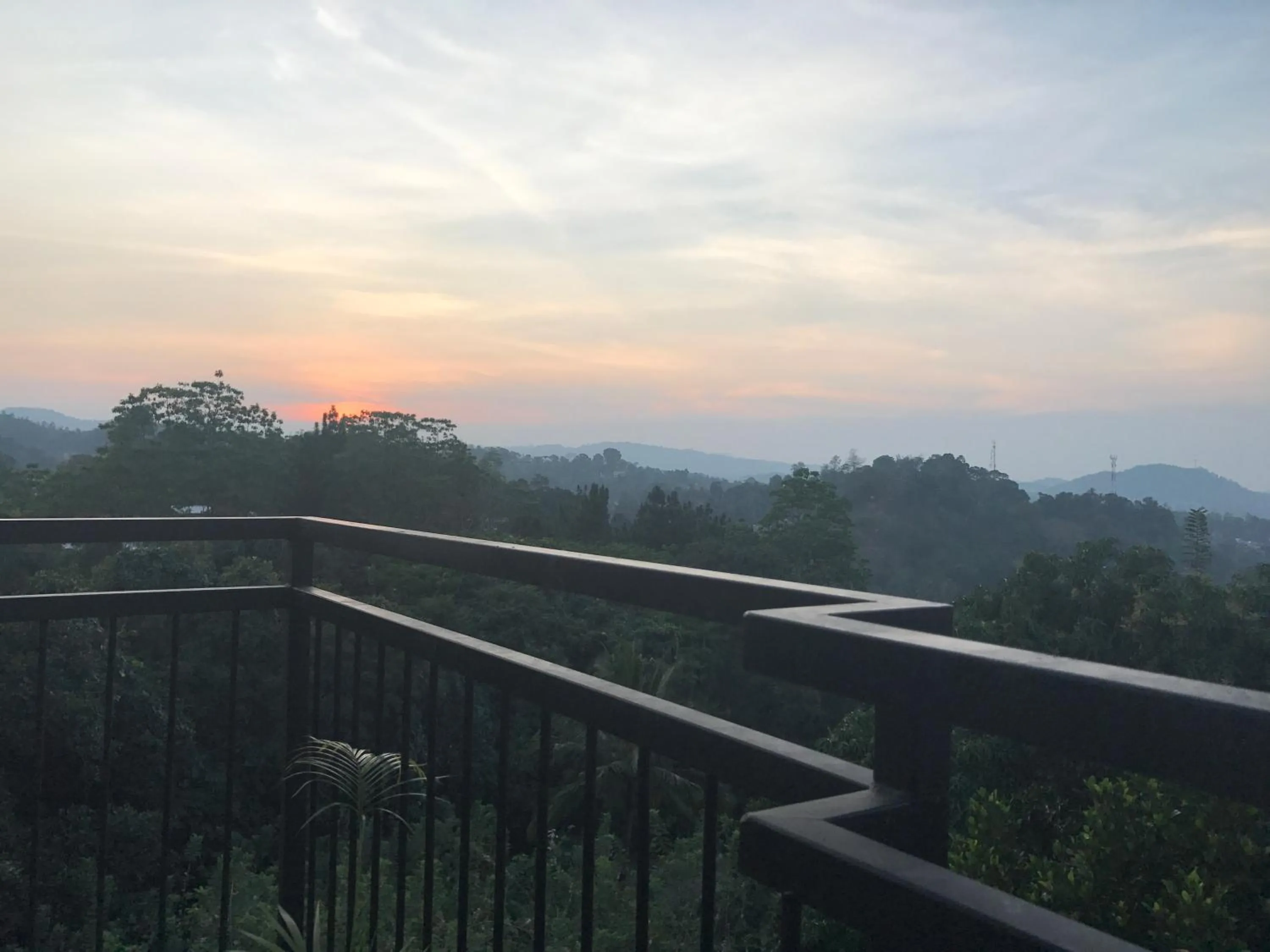 Property building in Villa Forest View - No: 50/17