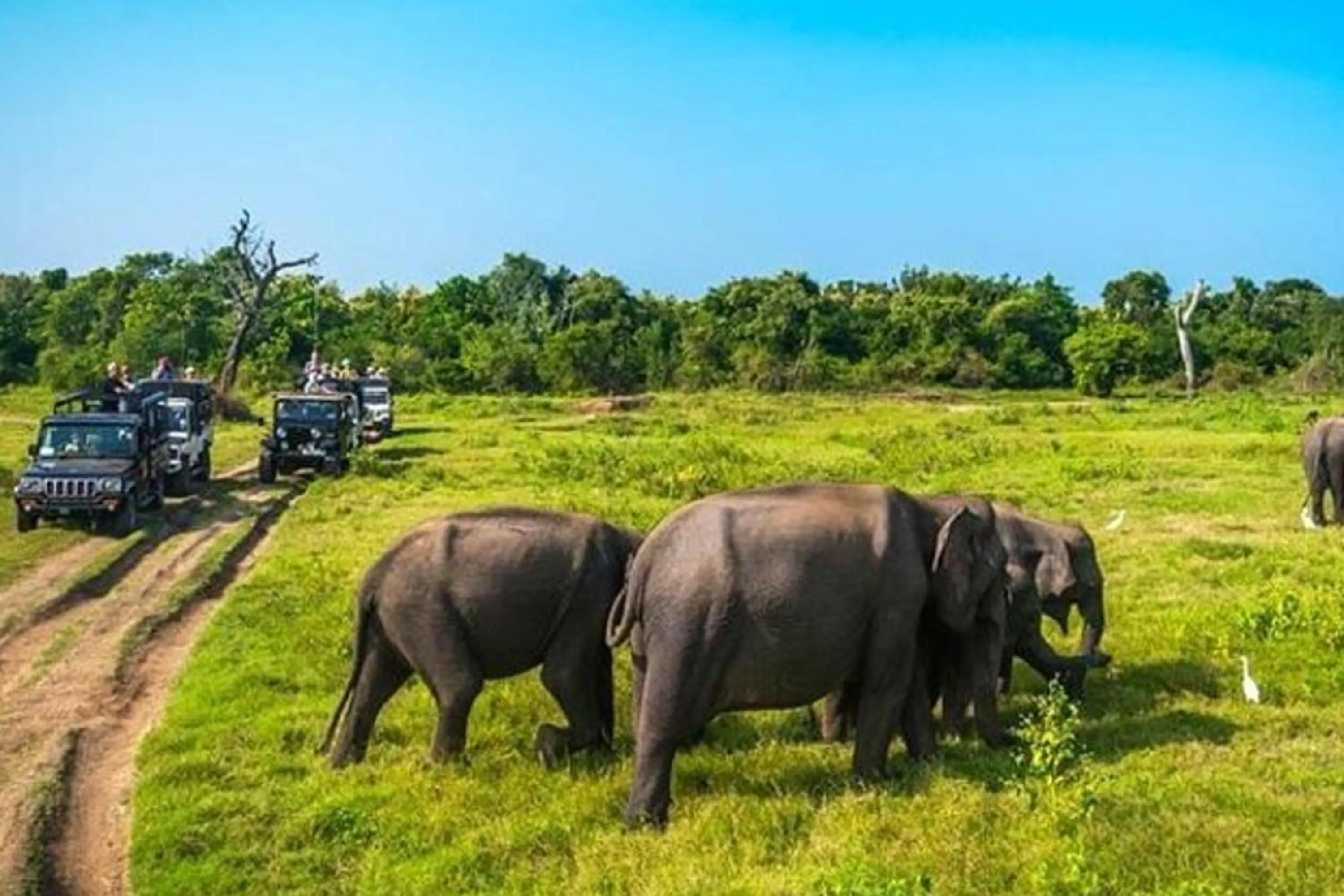 Natural landscape in Sigiri Sky Home & TreeHouse