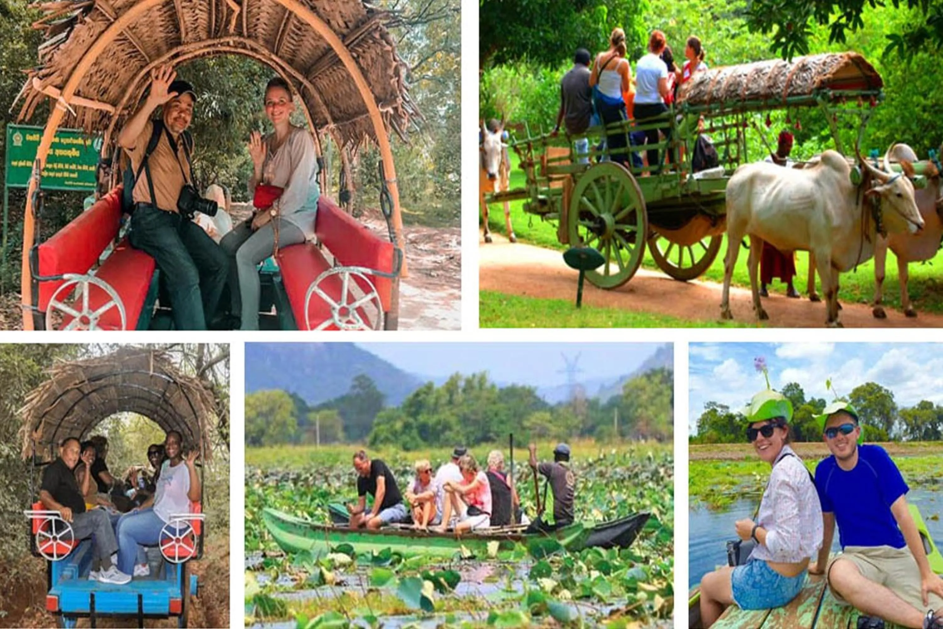 Activities in Sigiri Sky Home & TreeHouse