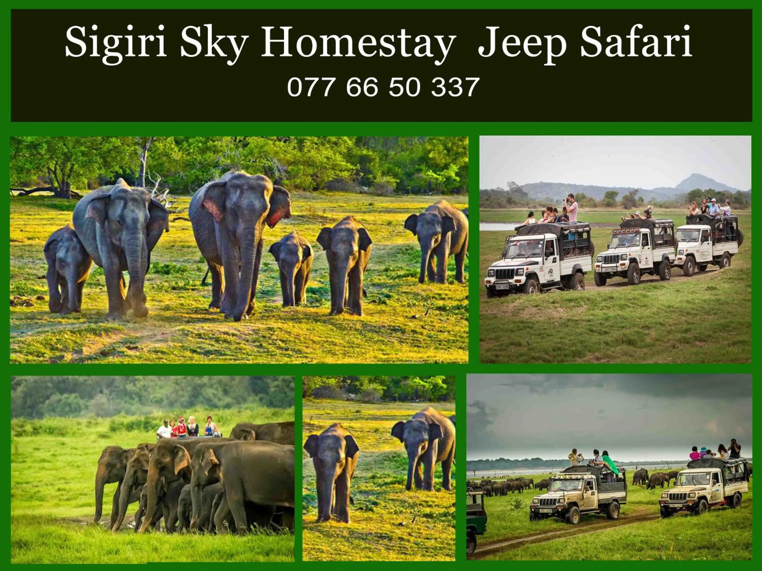 Activities in Sigiri Sky Home & TreeHouse