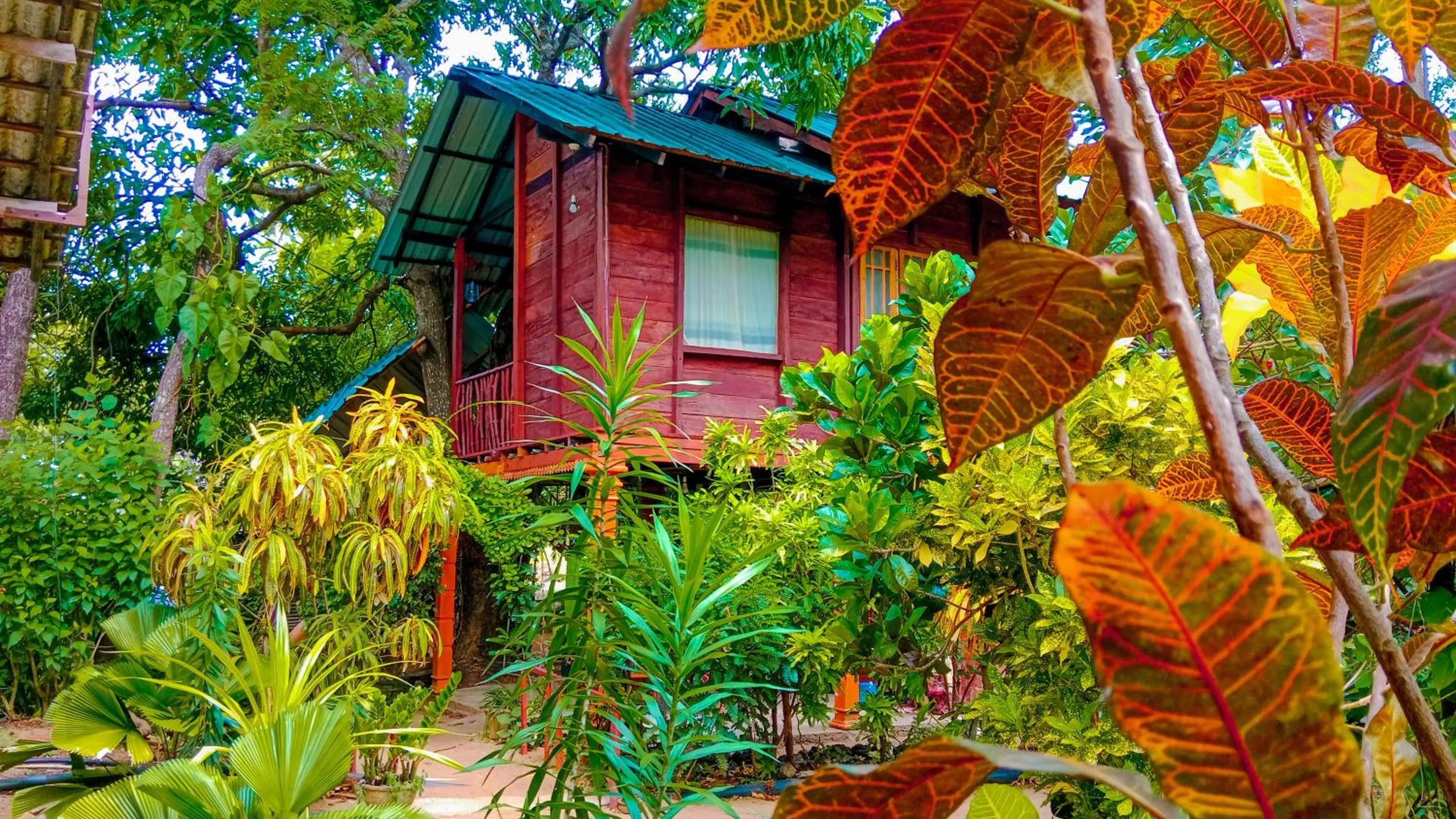 Property building in Sigiri Sky Home & TreeHouse