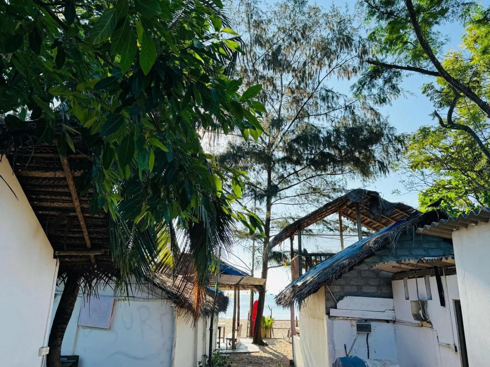 Restaurant/places to eat in Beach Wave Hotel