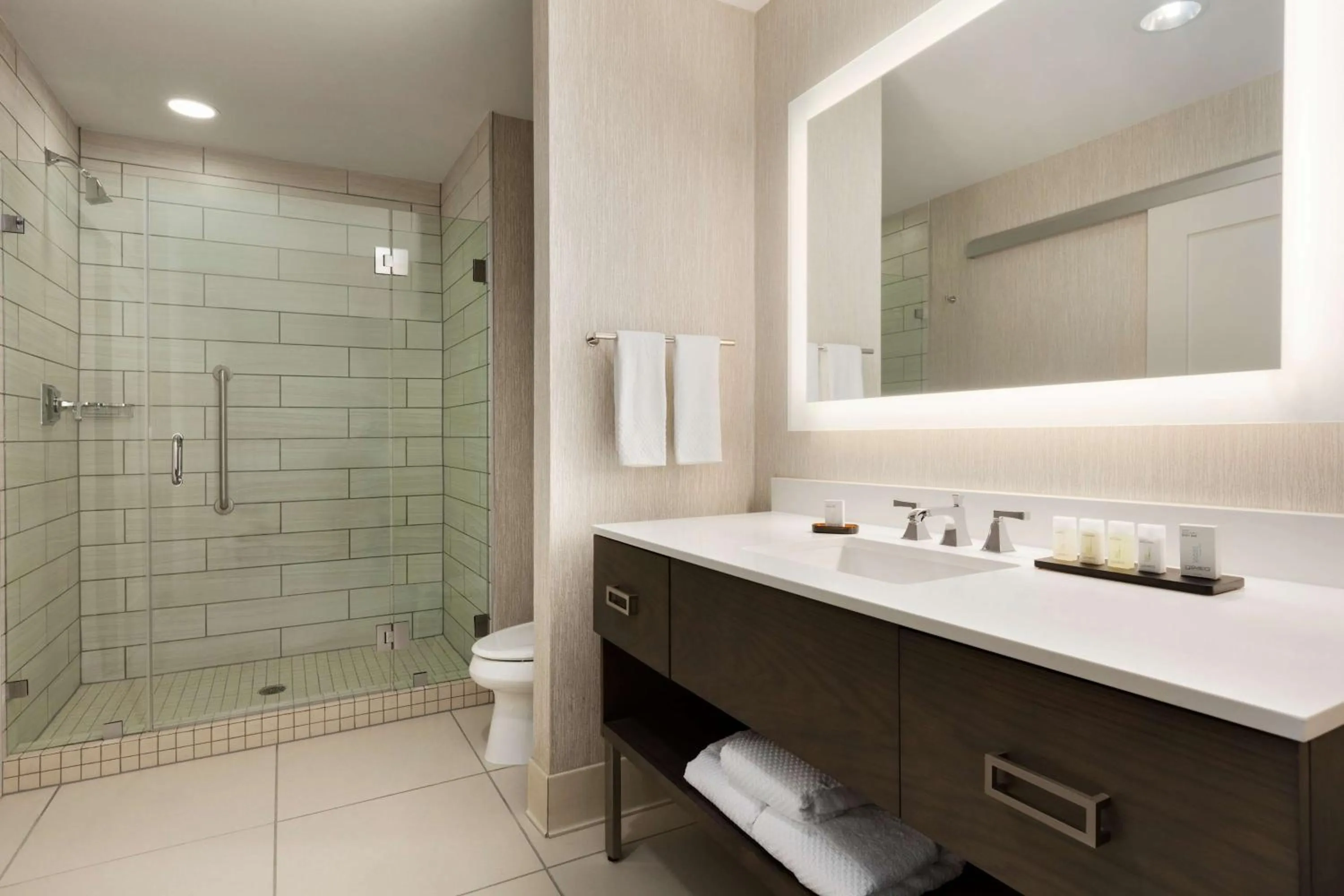 Bathroom in Embassy Suites San Antonio Brooks City Base Hotel & Spa