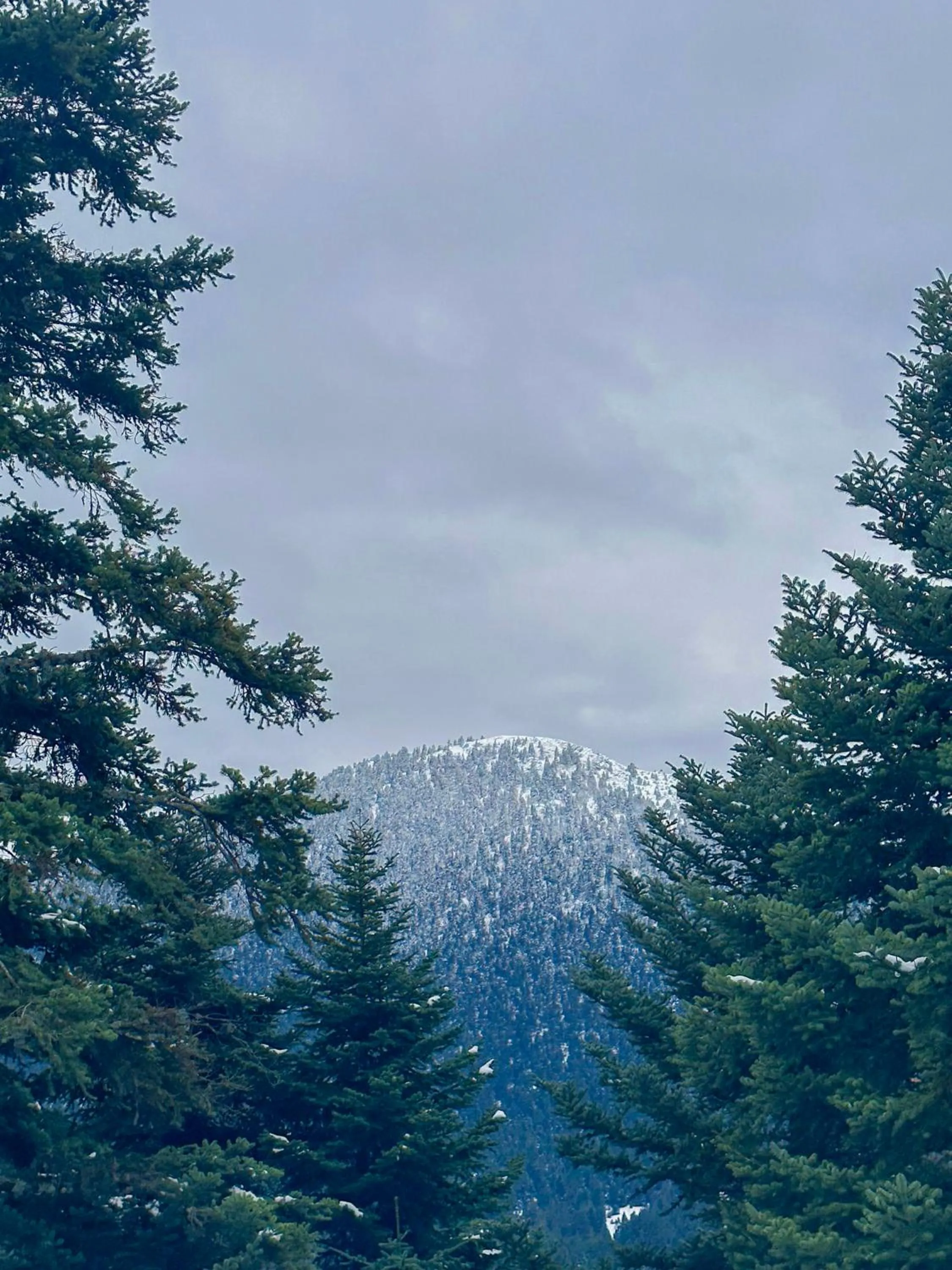 Santa Marina Arachova Resort & Spa