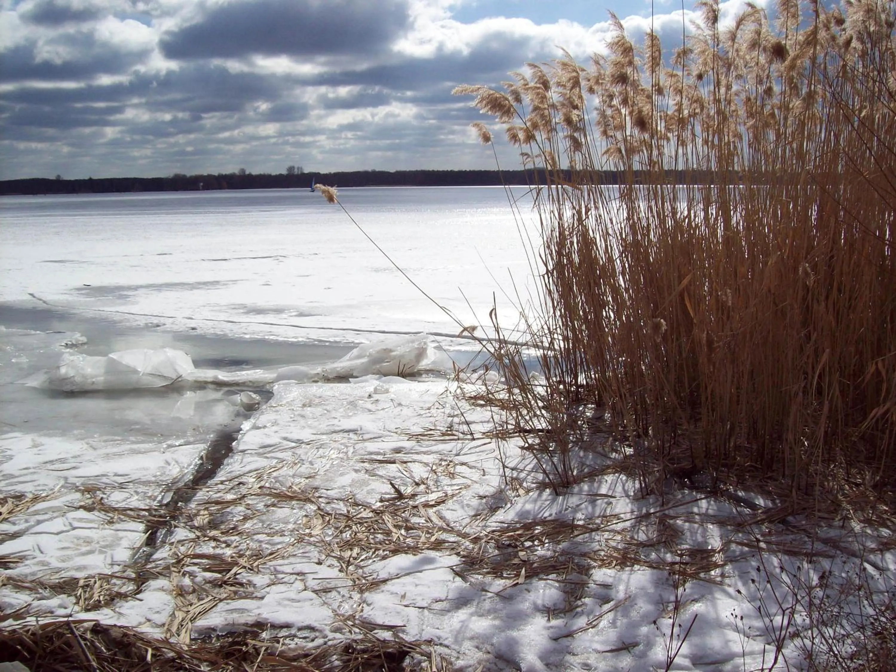 Pension an der Elsterbrücke