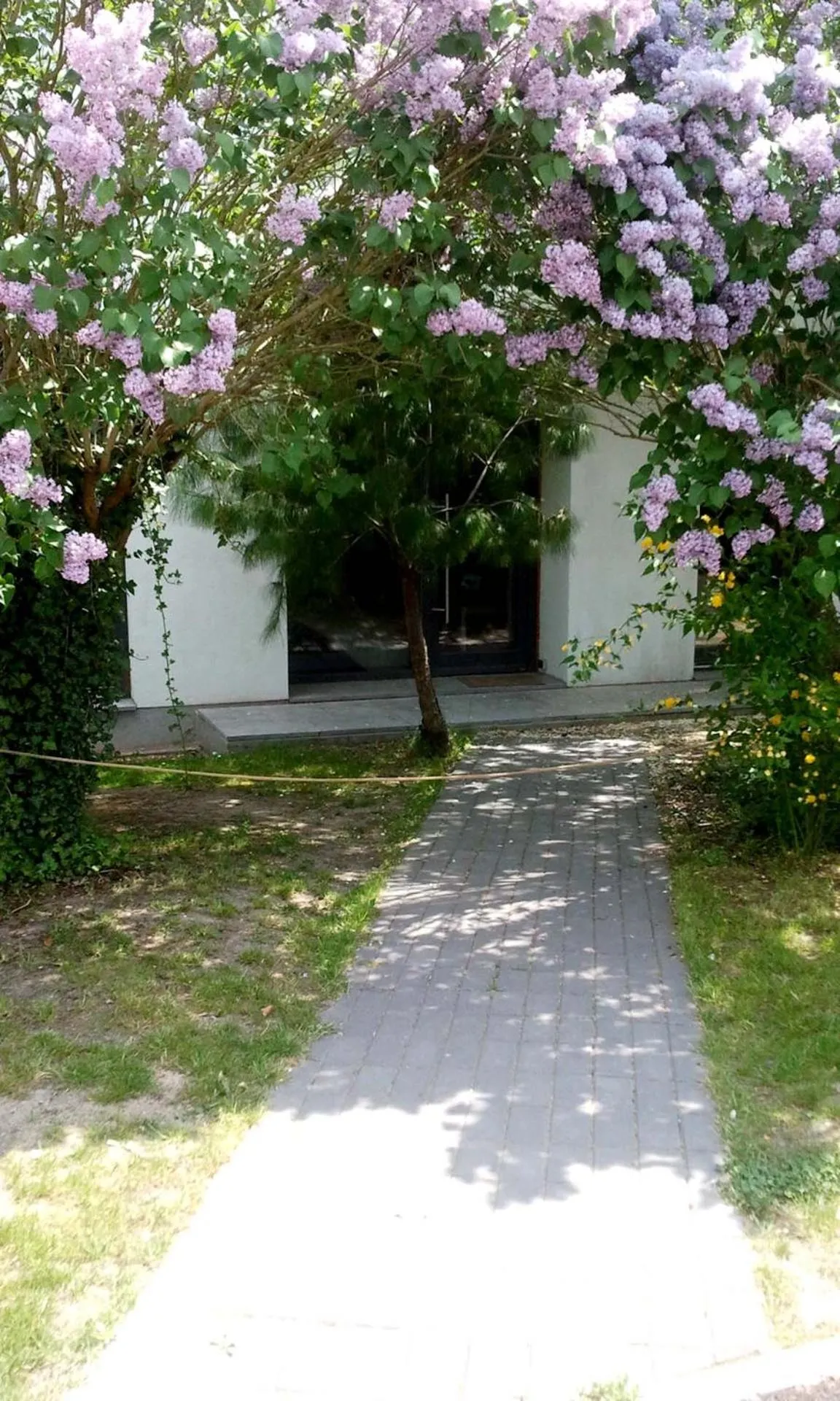 Pension an der Elsterbrücke