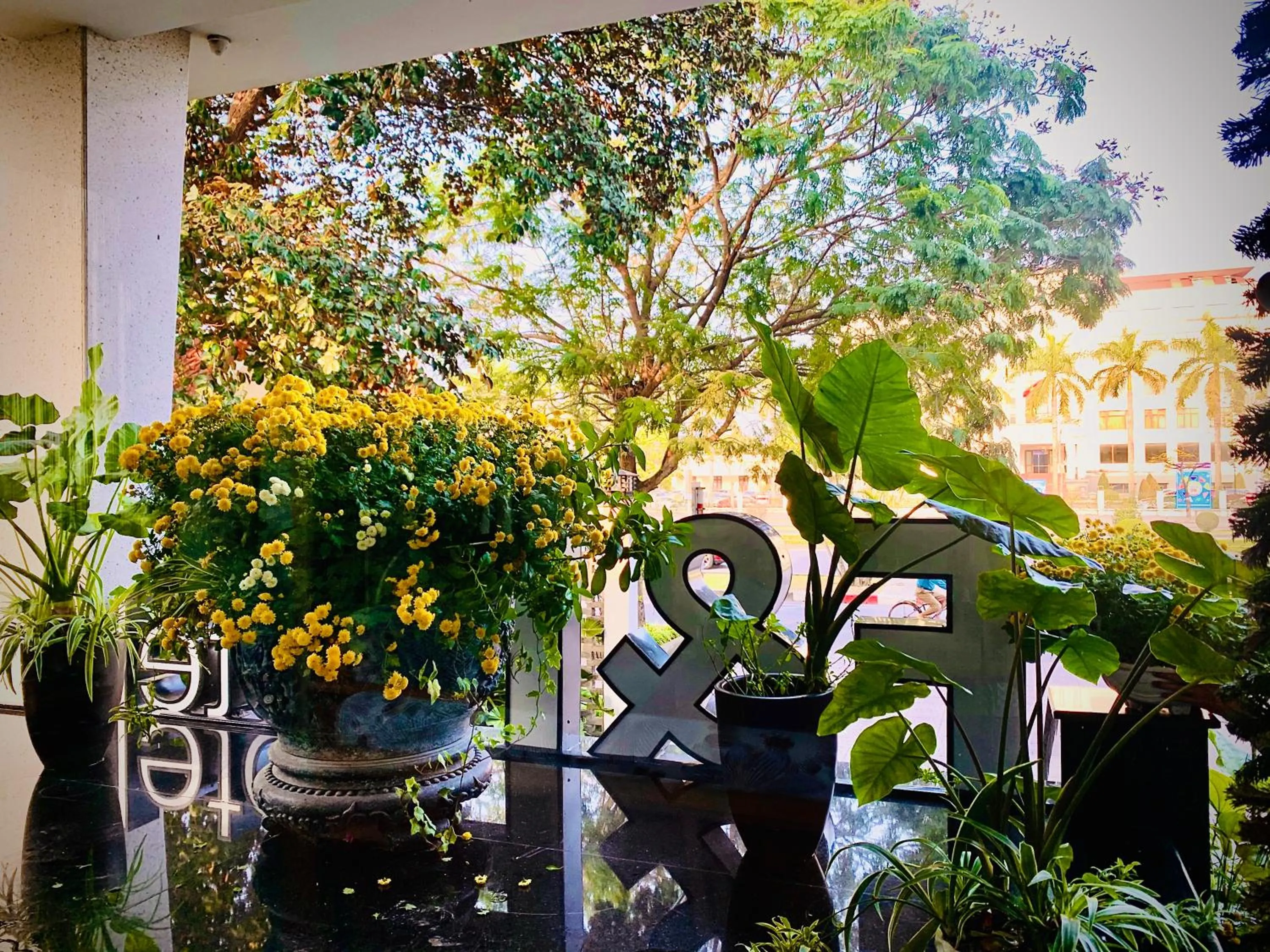 Property building in F & F Hotel