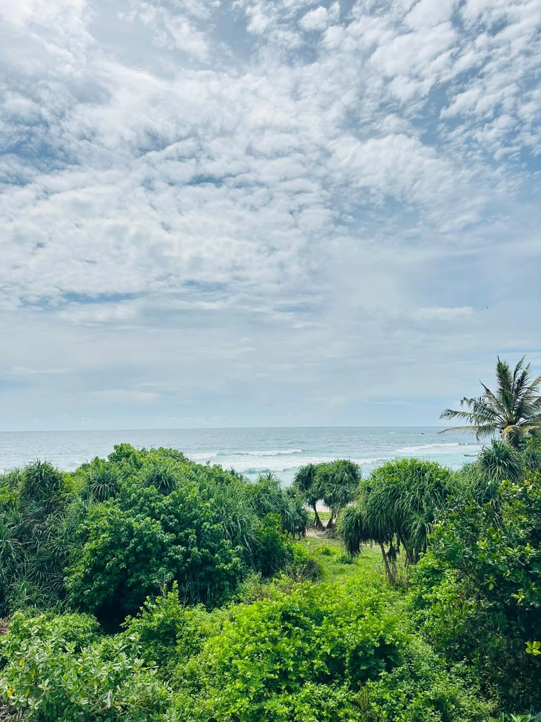 View (from property/room) in Mirissa Gate Resort