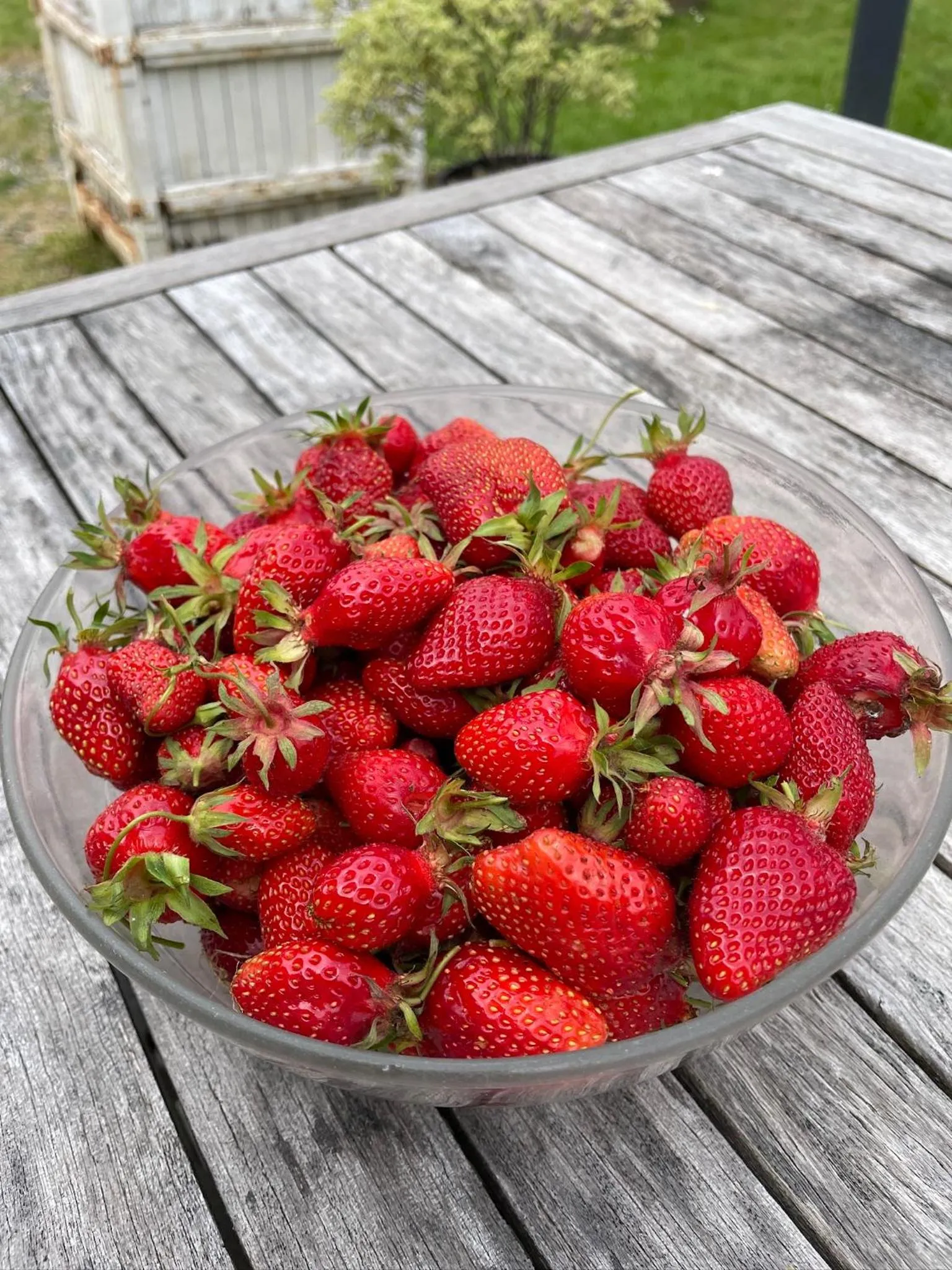 Breakfast in Le Manoir de la Bigotière