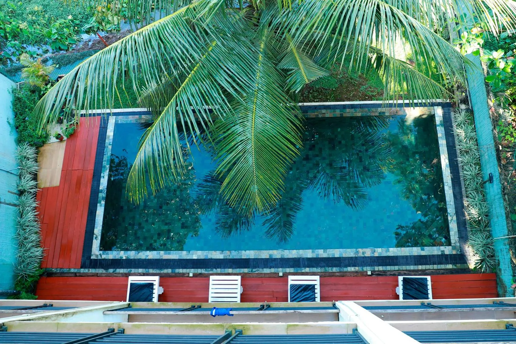 Swimming pool in Green Edge Villa