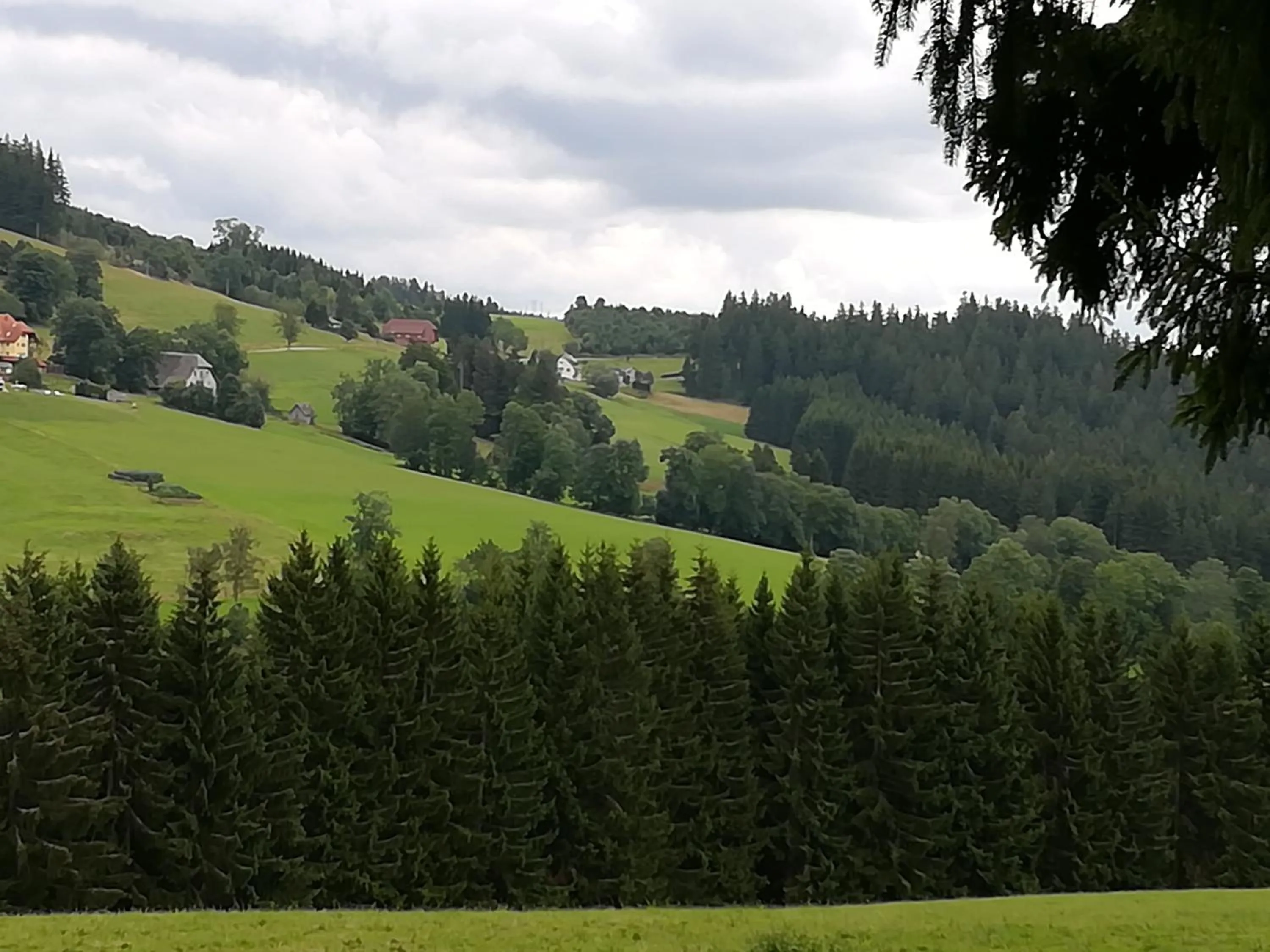 Neighbourhood in Schwarzwaldgasthaus Salenhof