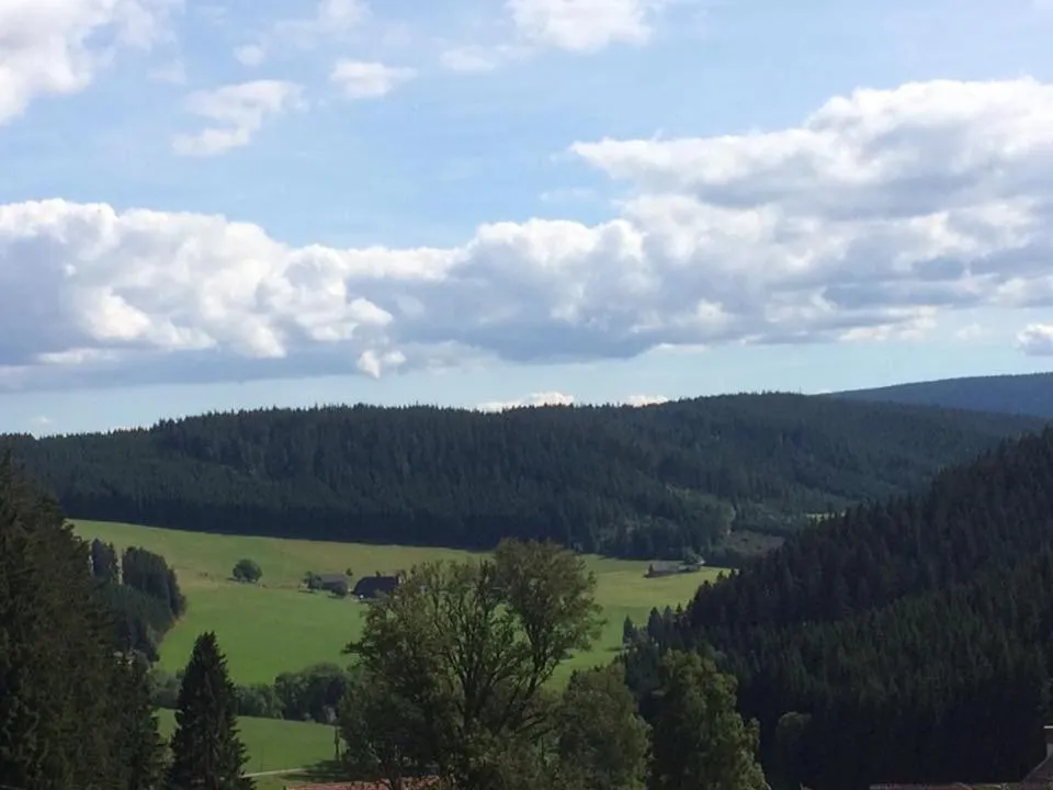 Day in Schwarzwaldgasthaus Salenhof