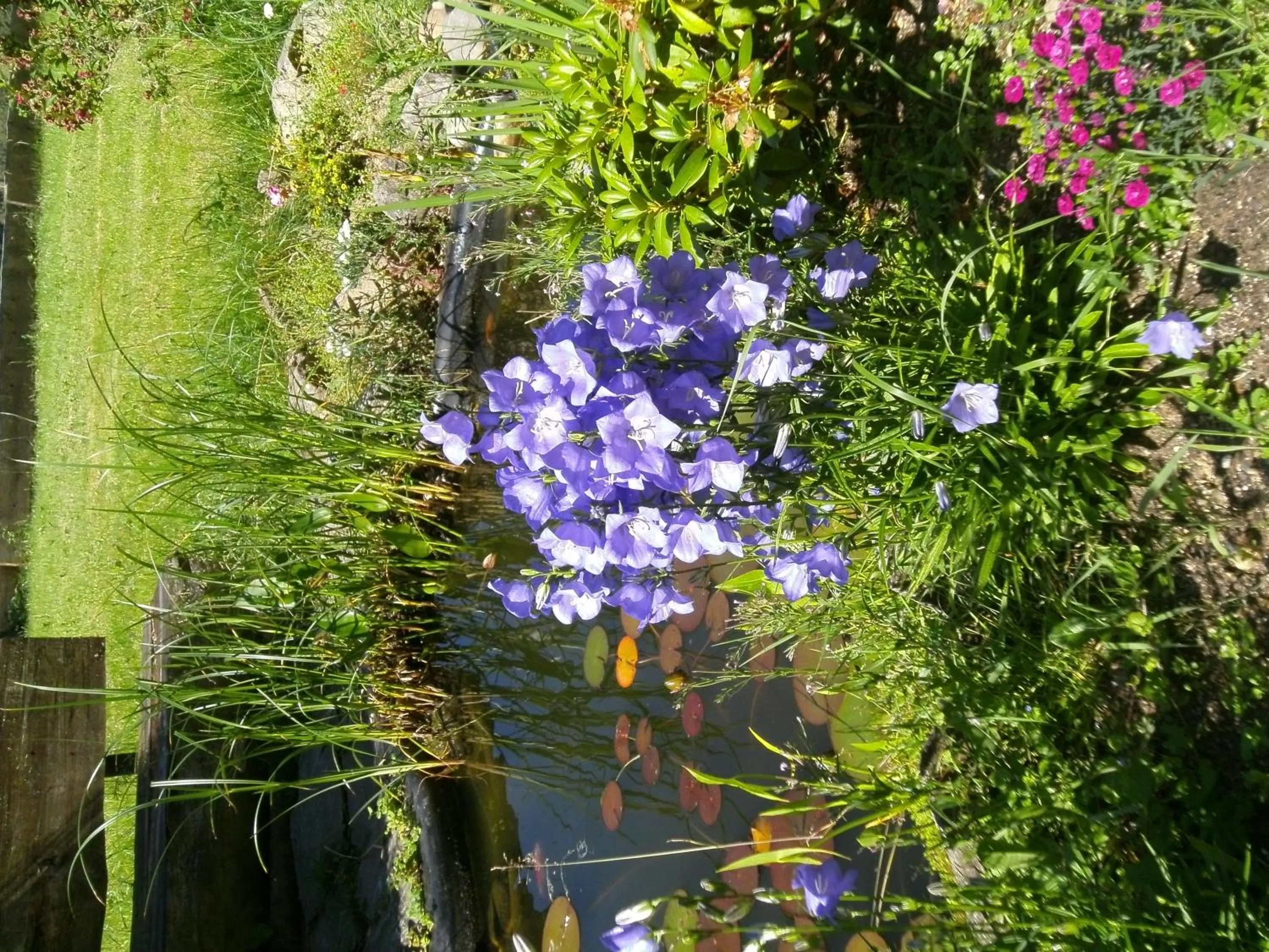 Spring in Schwarzwaldgasthaus Salenhof