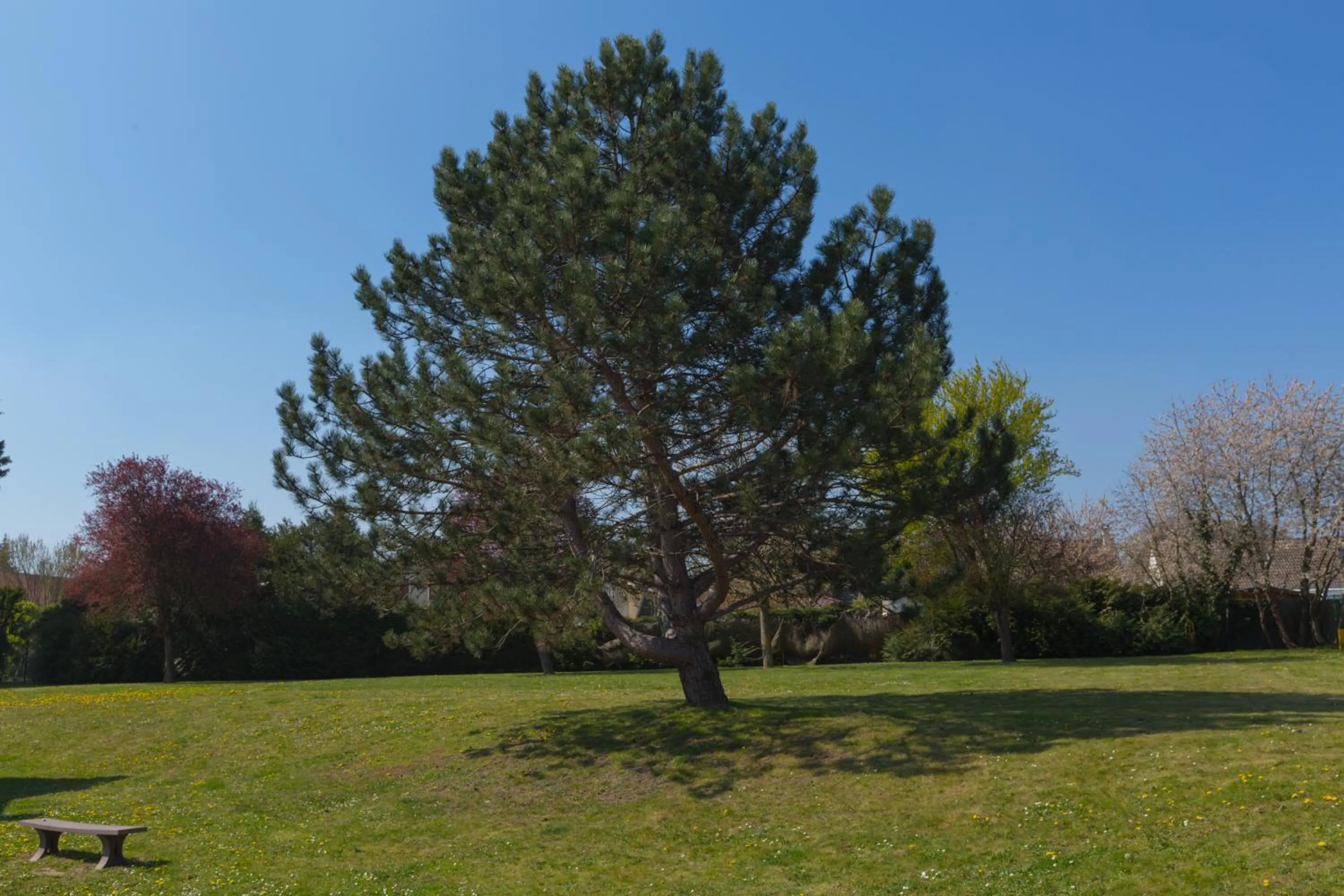 Garden in Kyriad Chantilly Sud - Luzarches