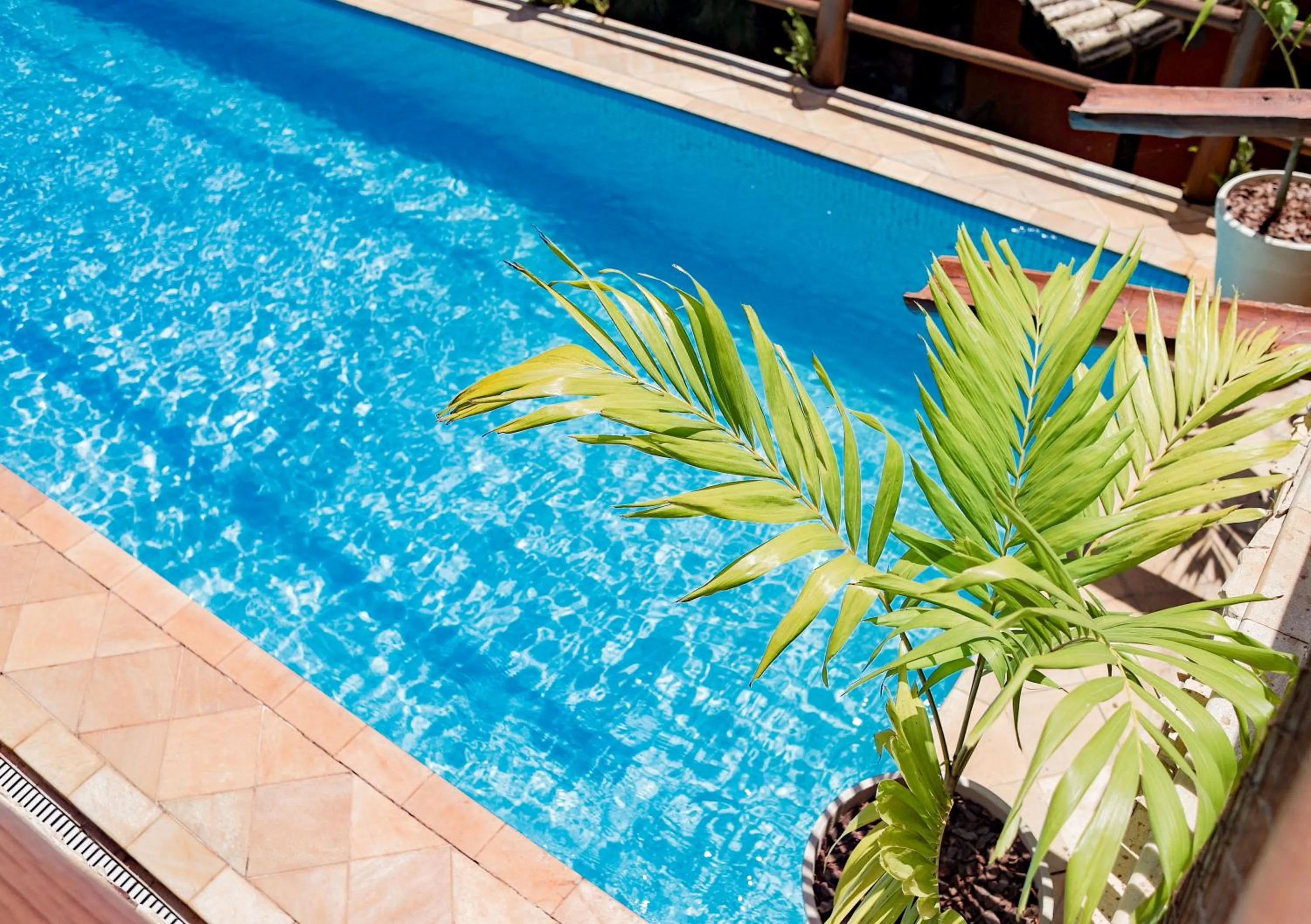 Swimming pool in Pontal da Ferradura